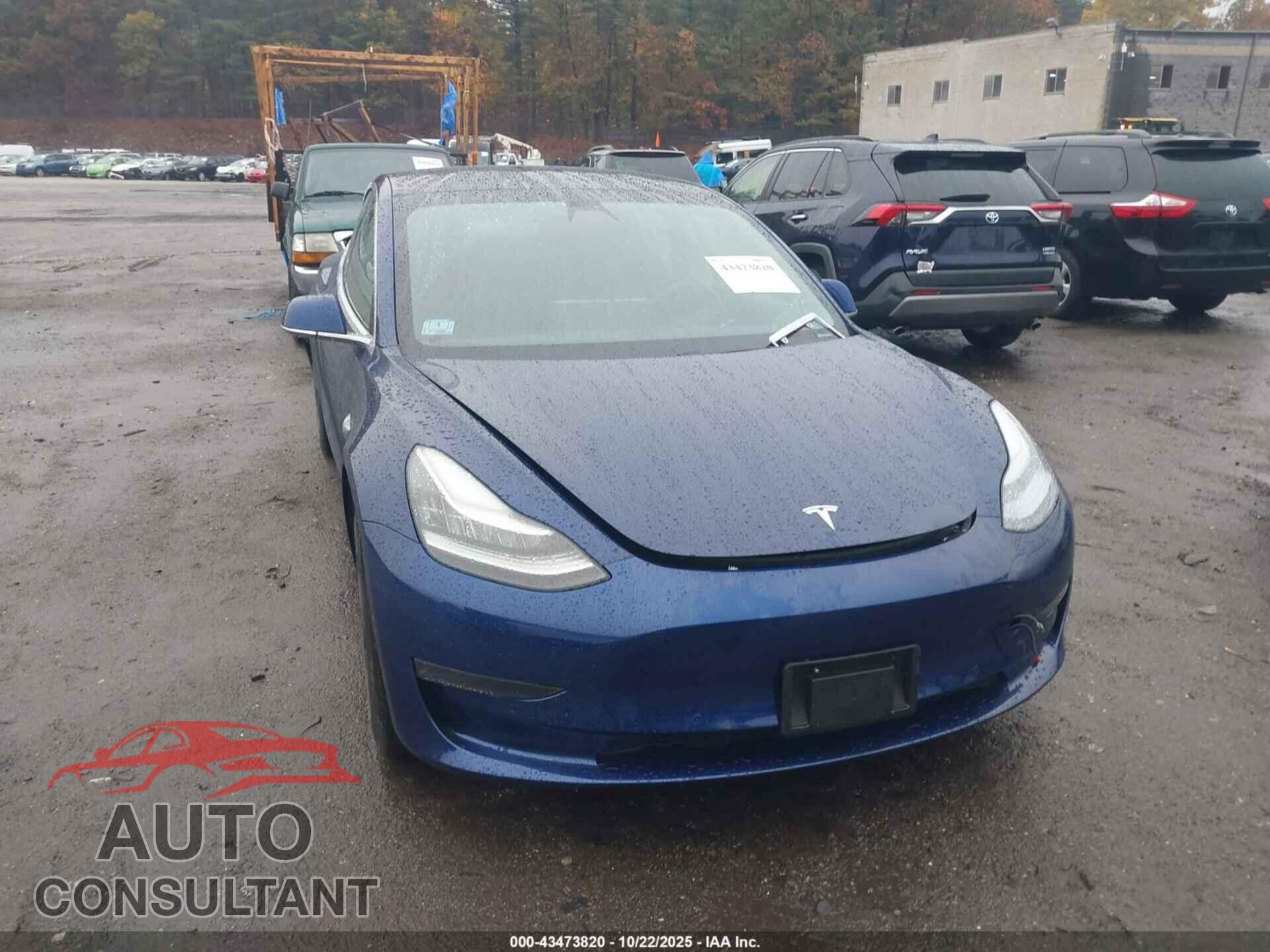 TESLA MODEL 3 2019 - 5YJ3E1EA2KF427206