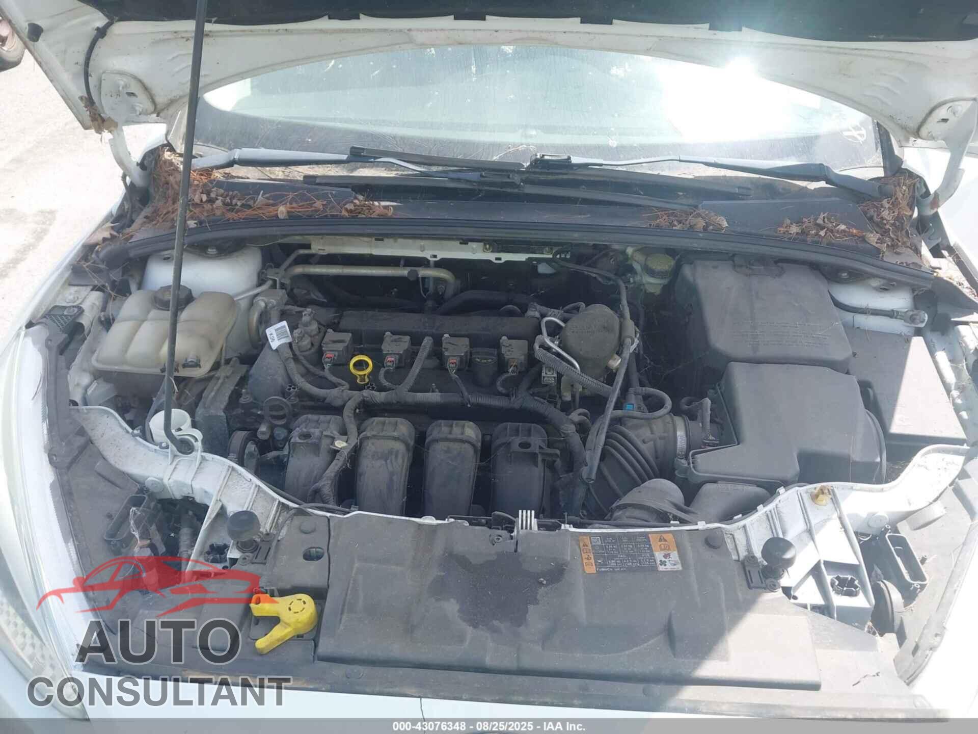 FORD FOCUS 2015 - 1FADP3F21FL207579
