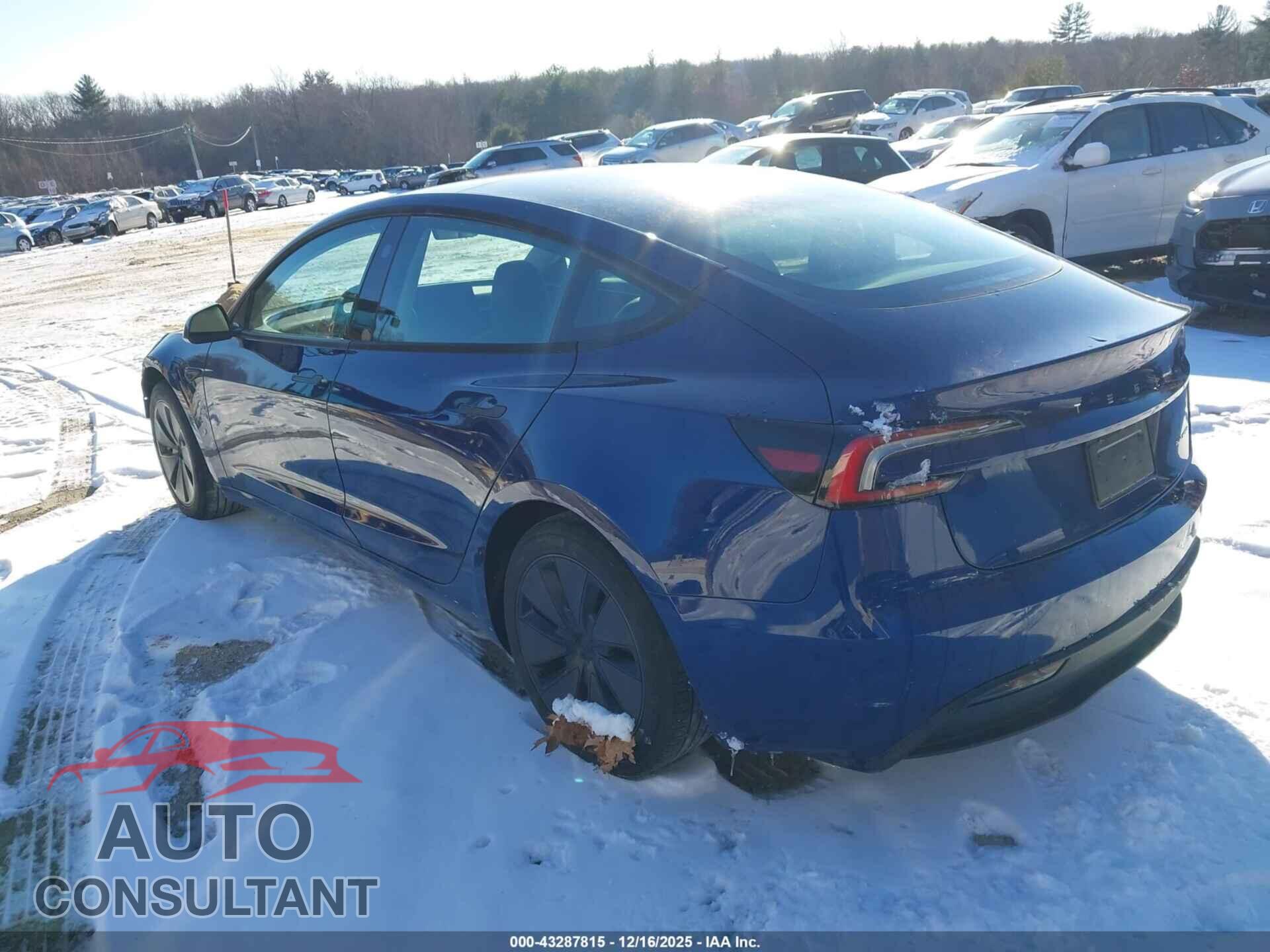 TESLA MODEL 3 2024 - 5YJ3E1EB7RF737029