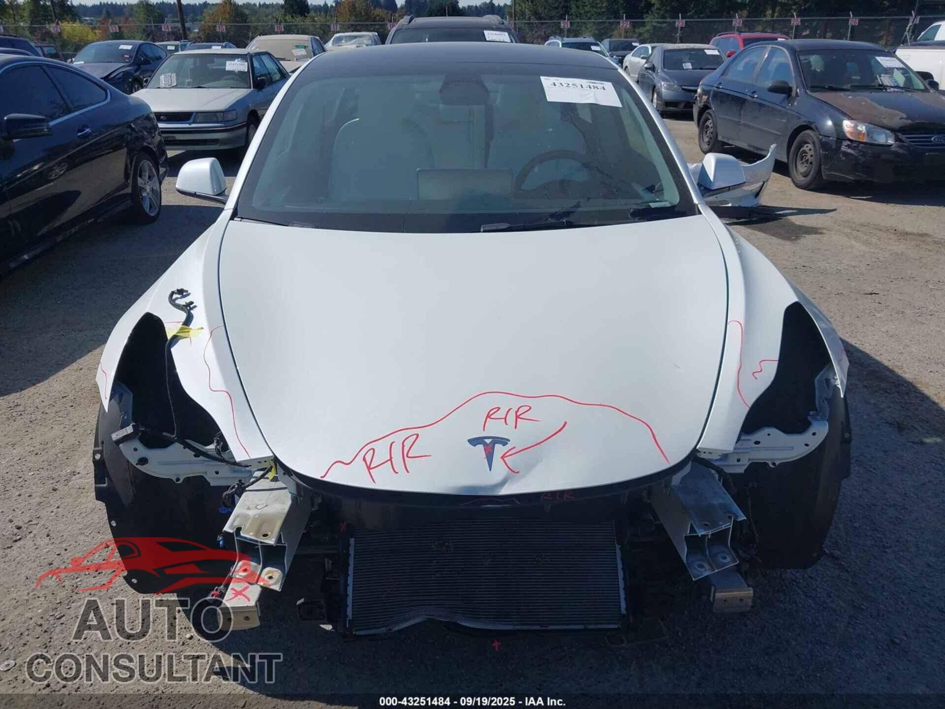 TESLA MODEL 3 2021 - 5YJ3E1EA5MF098021