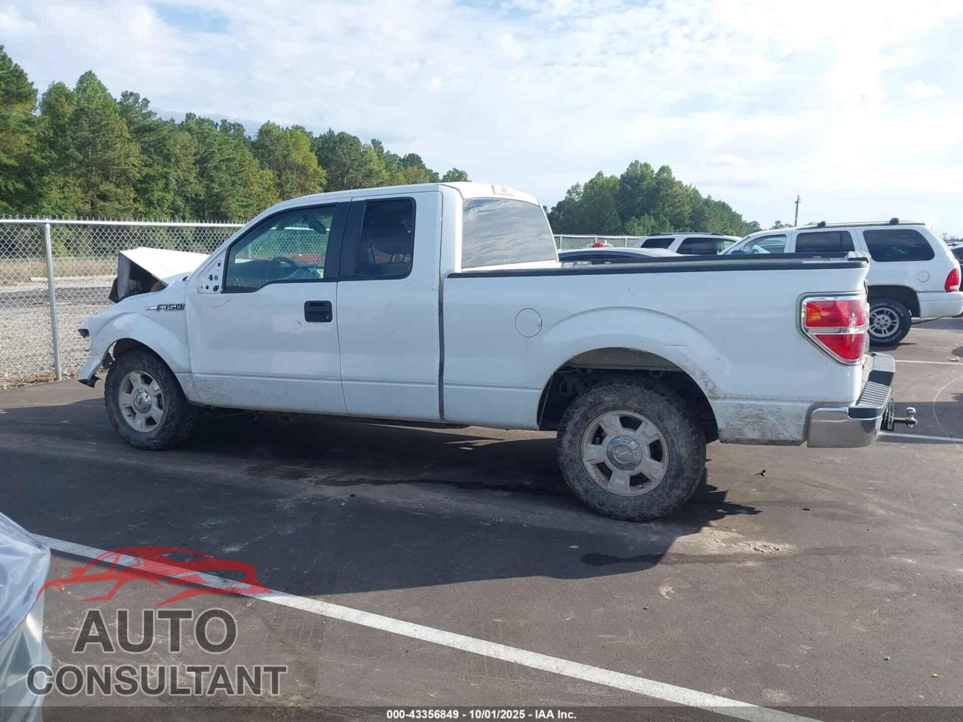 FORD F-150 2011 - 1FTFX1CF4BFB05703