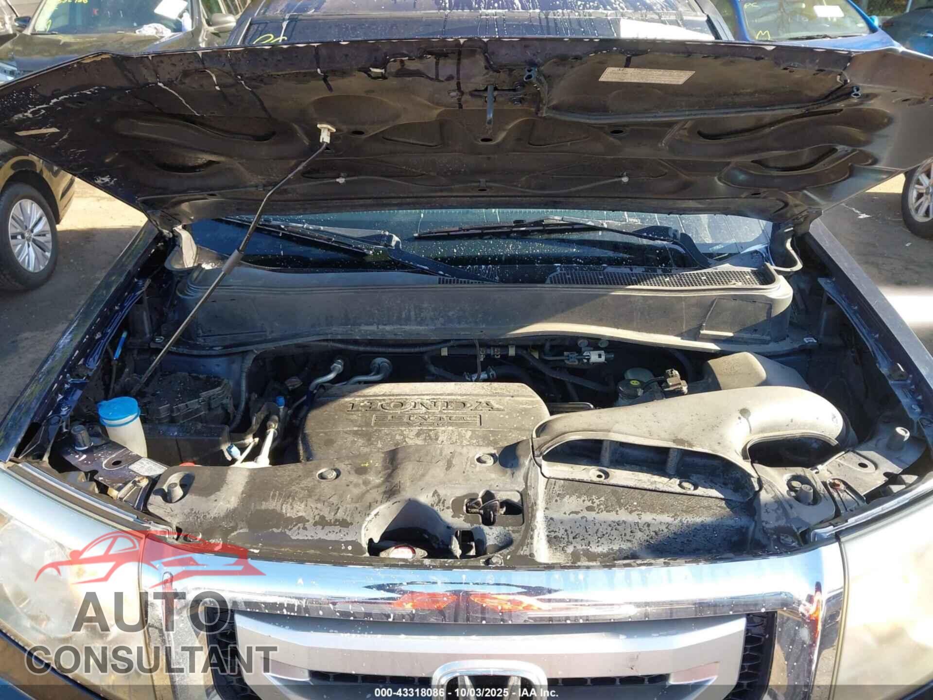 HONDA PILOT 2011 - 5FNYF4H51BB072385