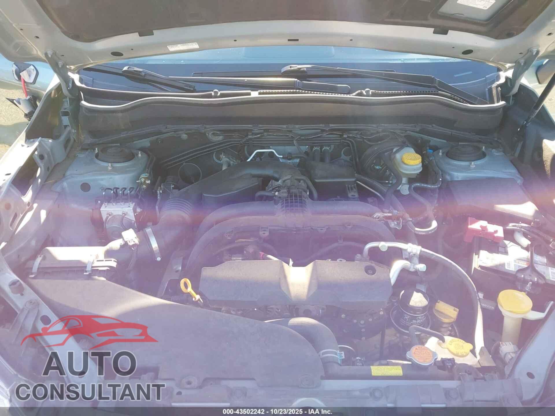 SUBARU FORESTER 2017 - JF2SJAAC5HH430836