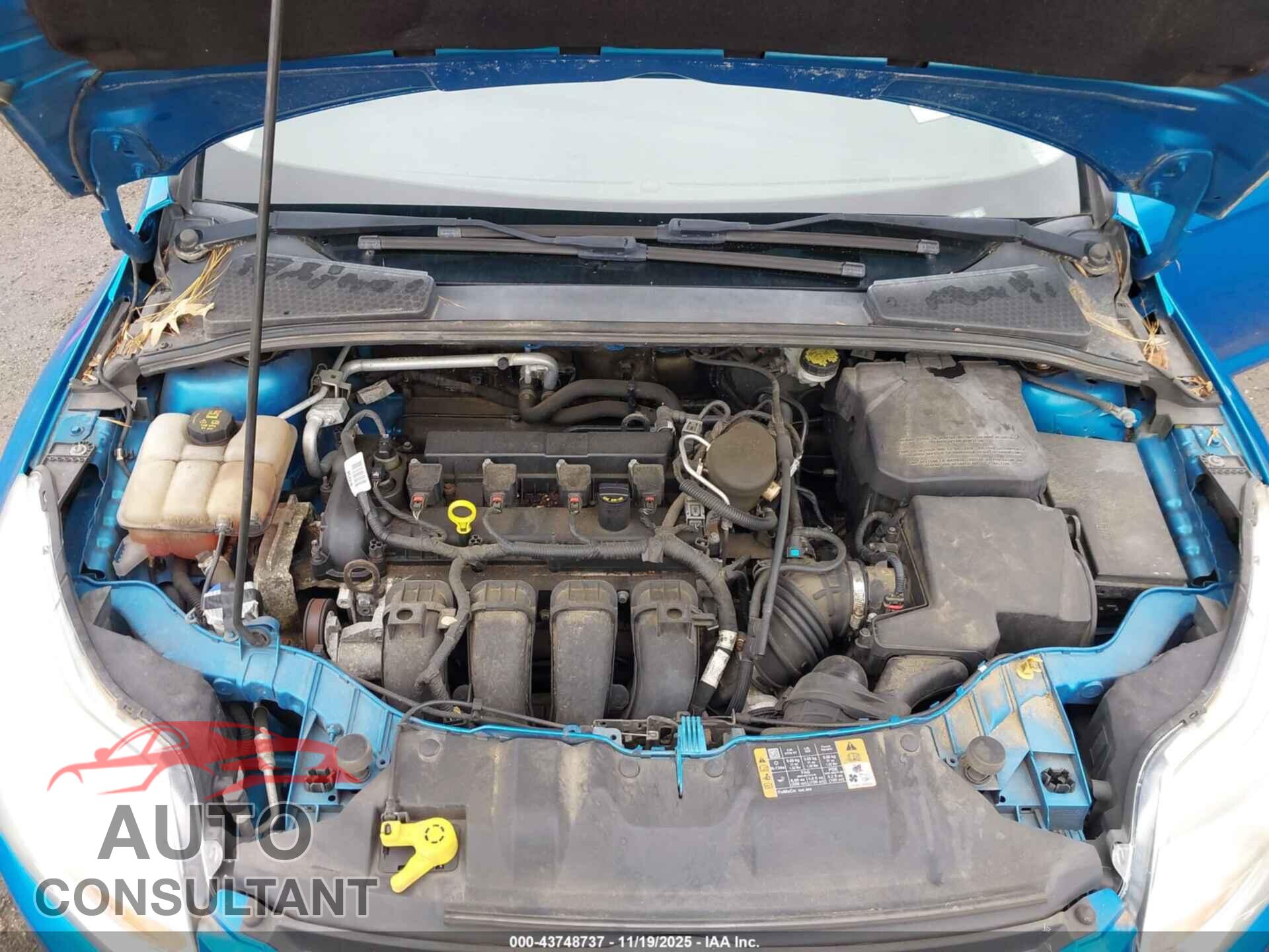 FORD FOCUS 2014 - 1FADP3F28EL448635