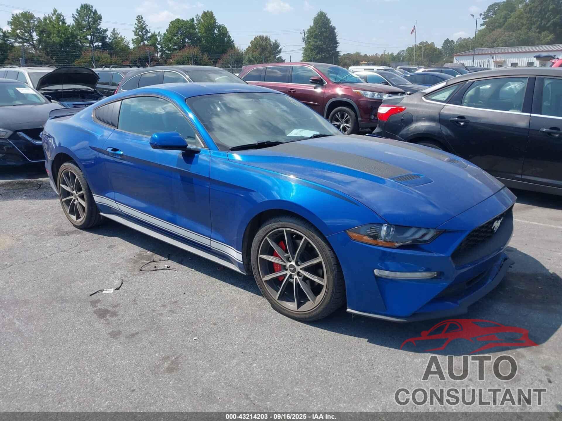 FORD MUSTANG 2018 - 1FA6P8TH6J5116478