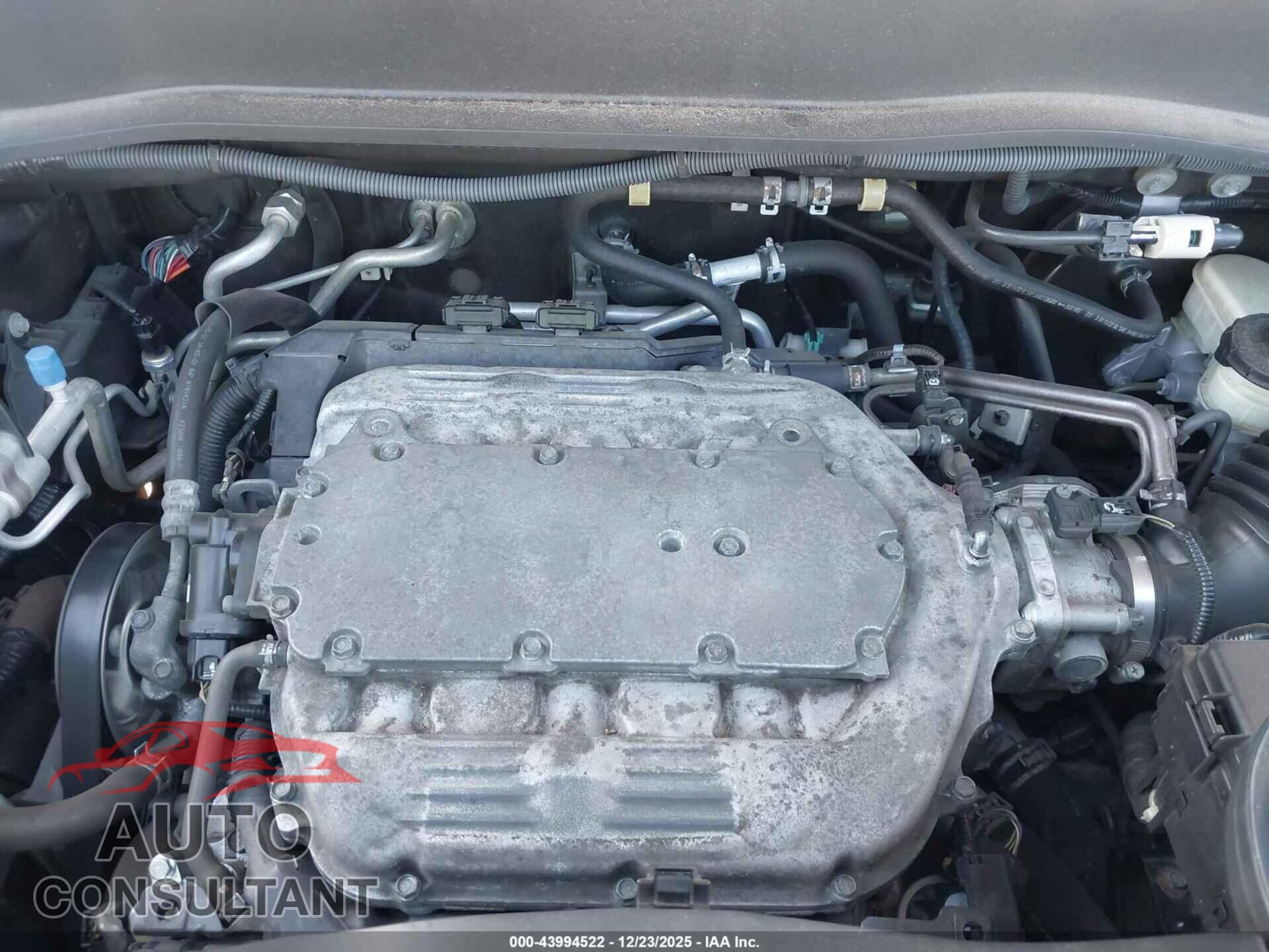 HONDA PILOT 2011 - 5FNYF4H52BB022207