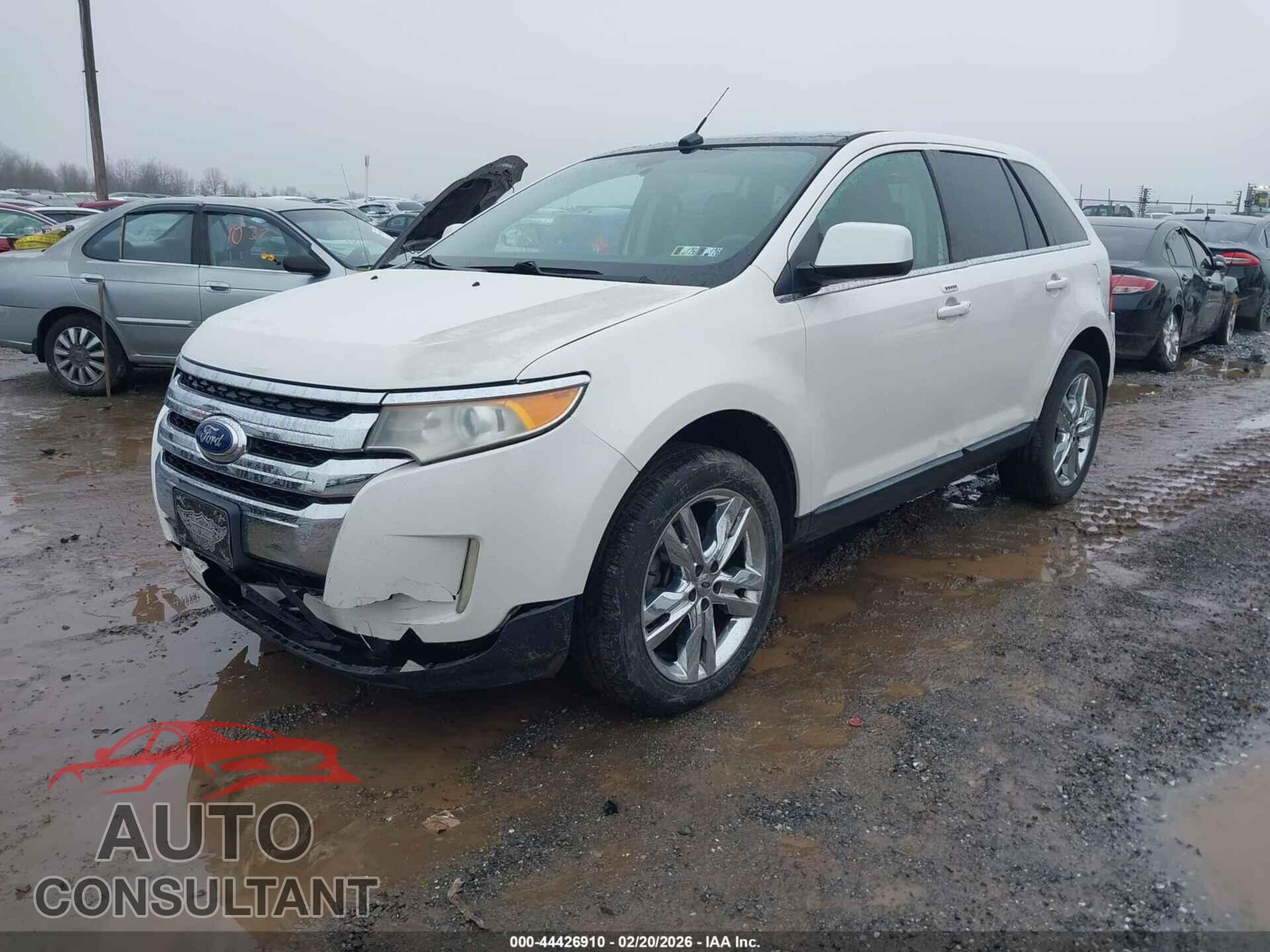FORD EDGE 2011 - 2FMDK4KCXBBA79409