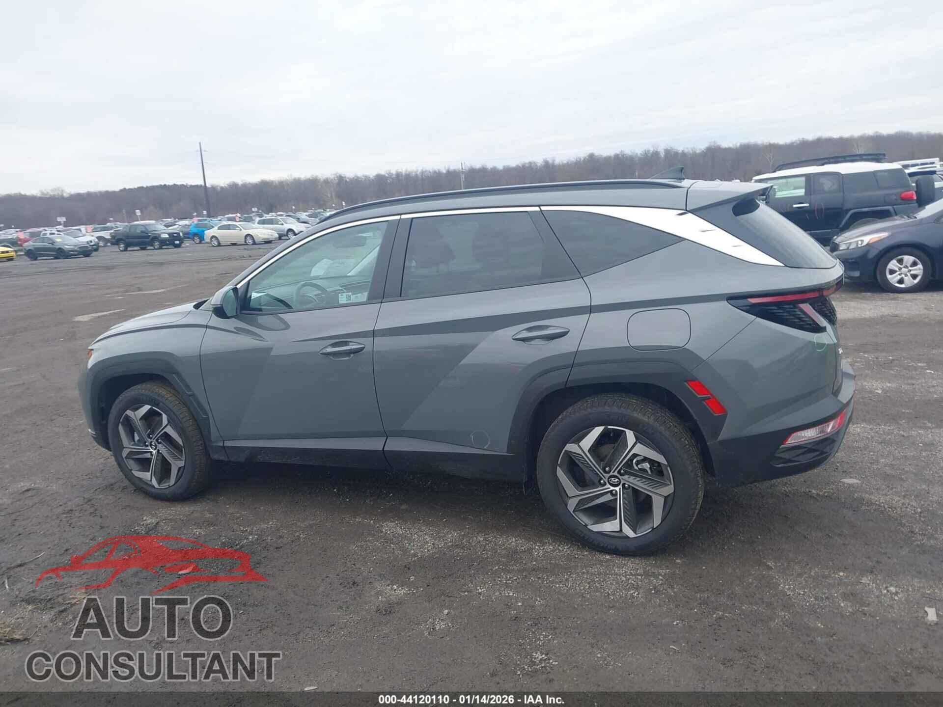 HYUNDAI TUCSON 2024 - 5NMJFCDE9RH395402