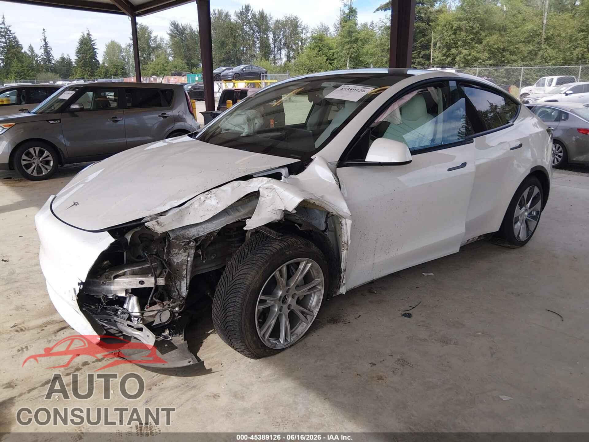 TESLA MODEL Y 2023 - 7SAYGAEE4PF827006