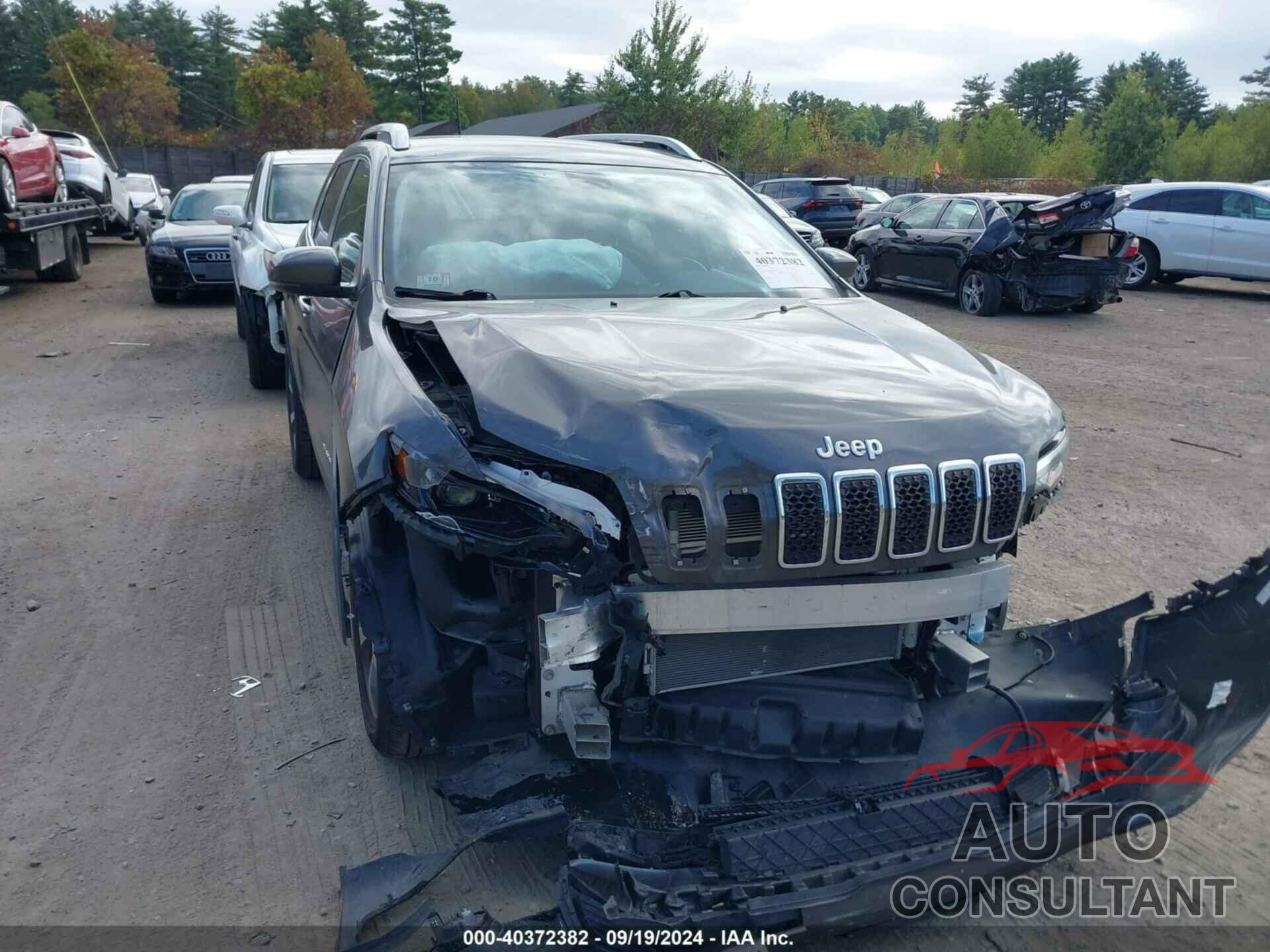 JEEP CHEROKEE 2019 - 1C4PJMDX8KD445740