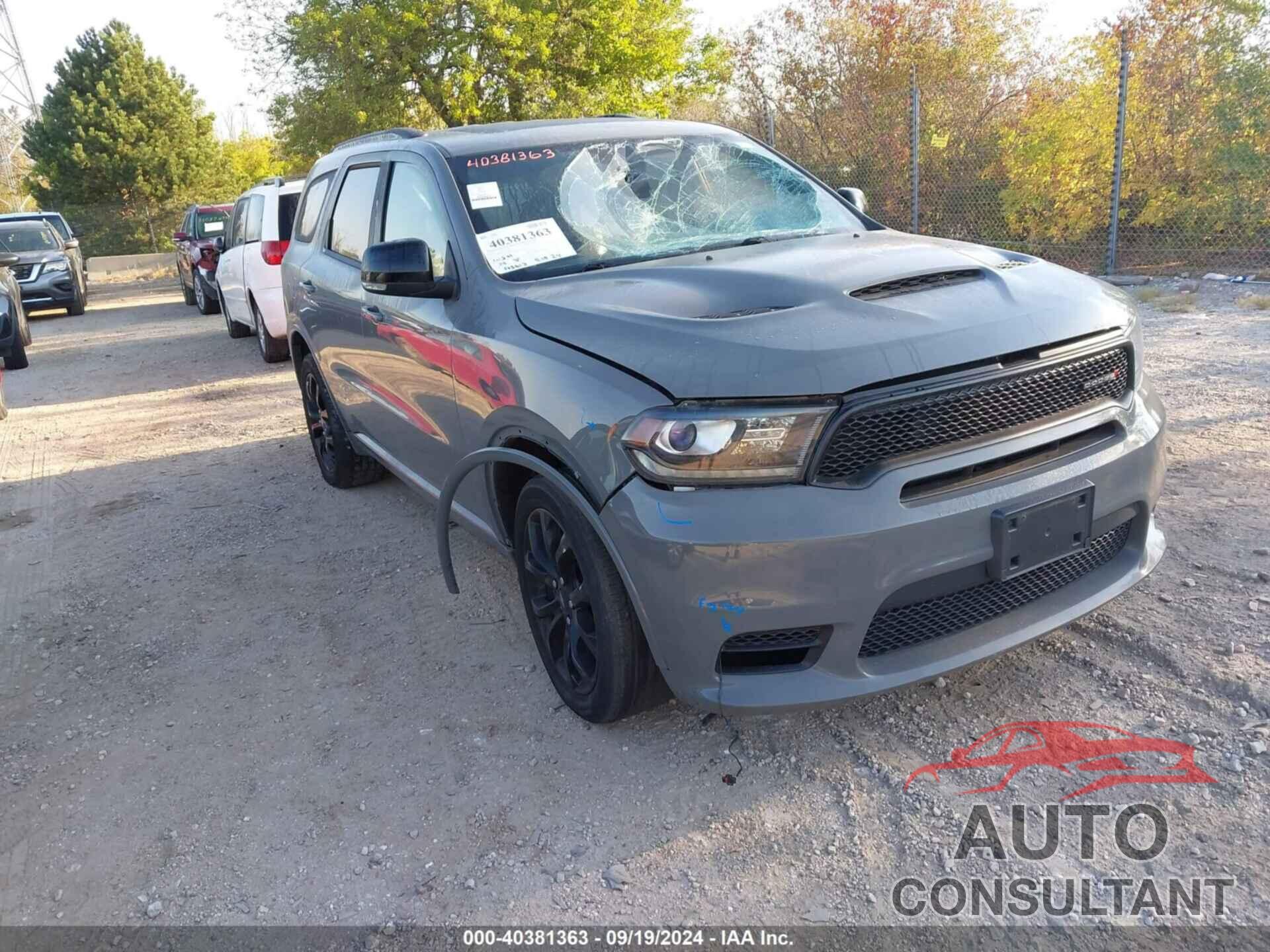 DODGE DURANGO 2019 - 1C4RDJDG1KC605607
