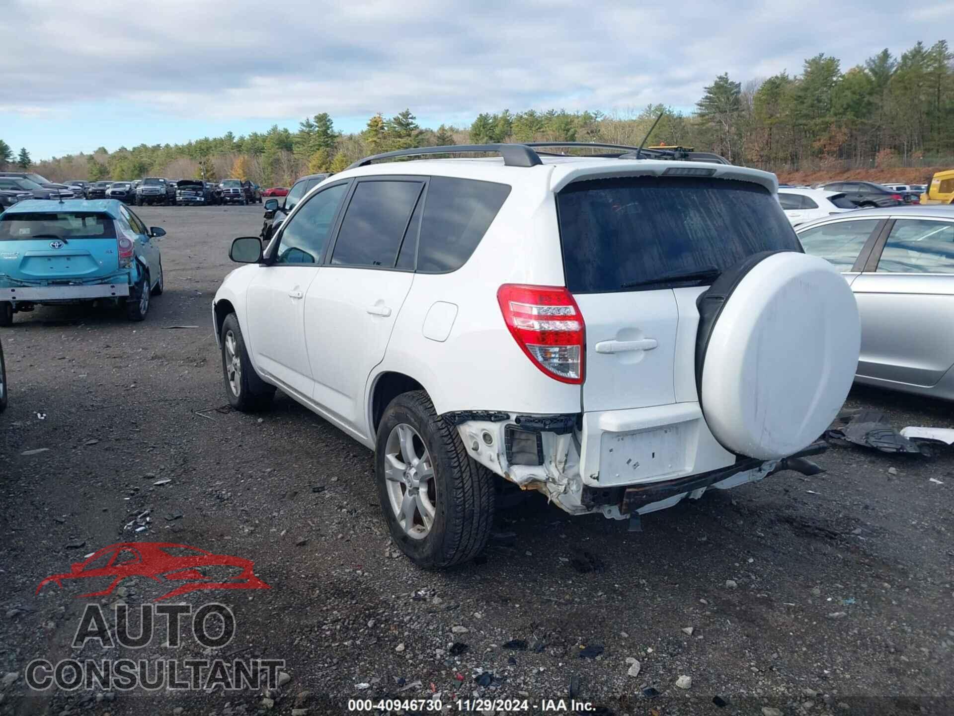 TOYOTA RAV4 2011 - 2T3BF4DV8BW174093