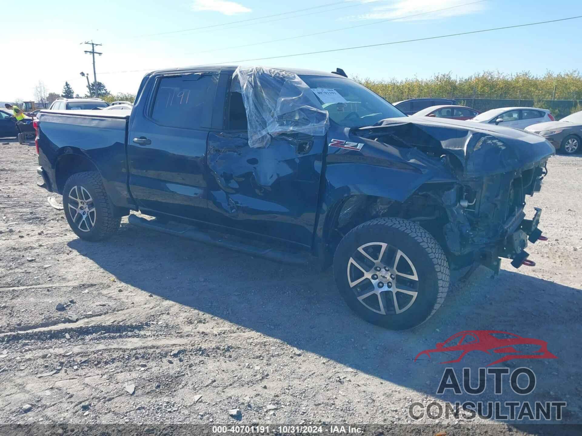CHEVROLET SILVERADO 1500 2020 - 1GCPYFEL4LZ292460