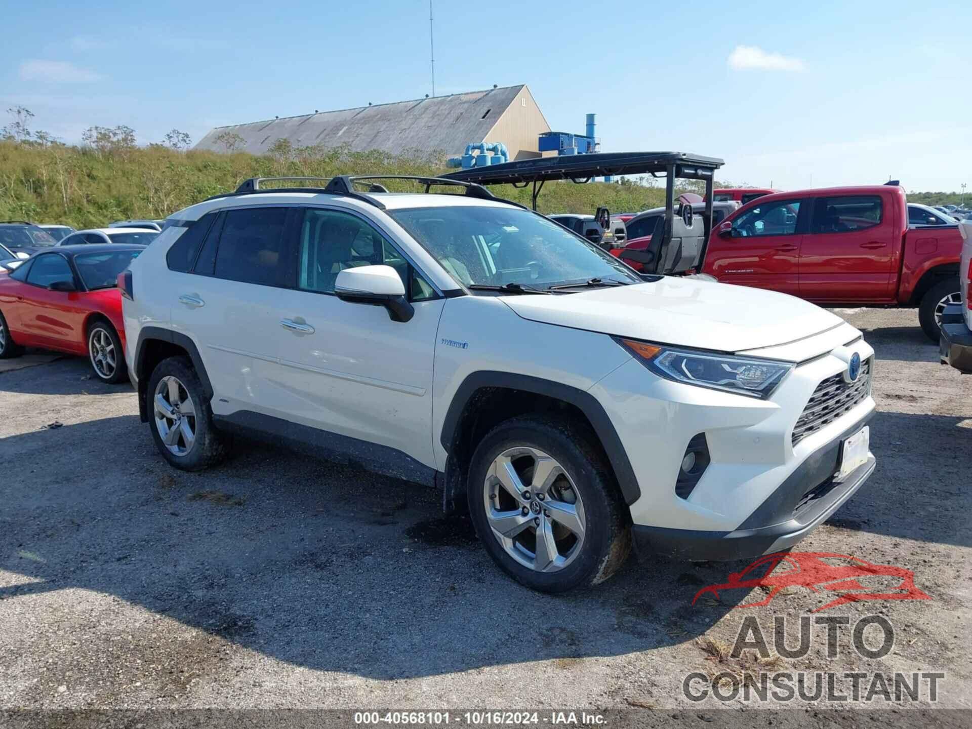 TOYOTA RAV4 HYBRID 2019 - 2T3DWRFV8KW010071