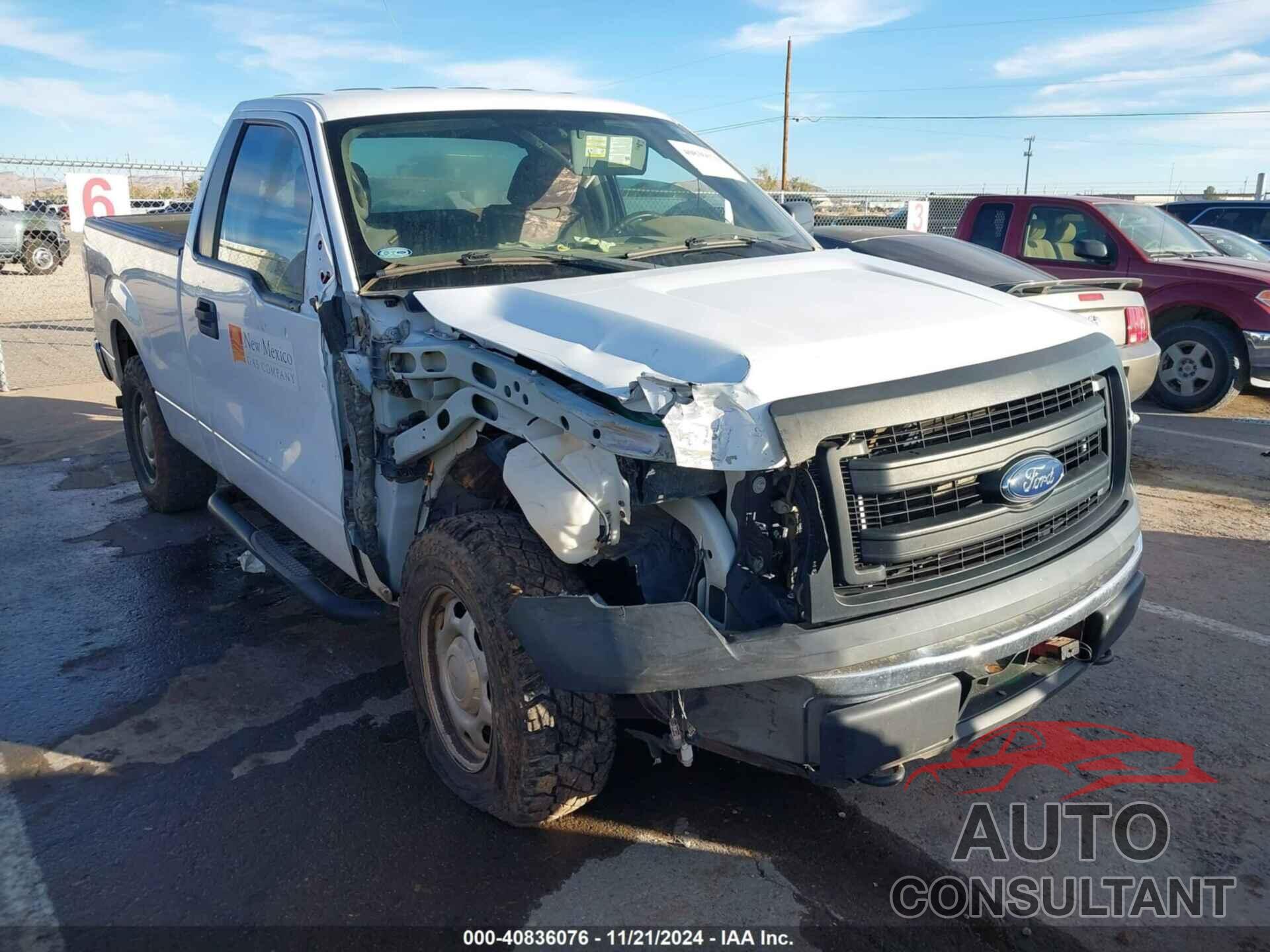 FORD F-150 2014 - 1FTMF1EF8EKF29646