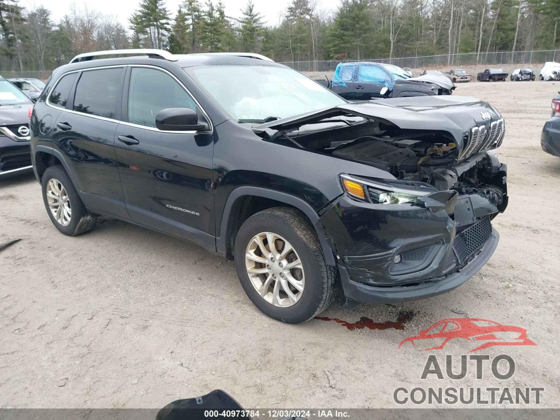 JEEP CHEROKEE 2019 - 1C4PJMCB1KD489908