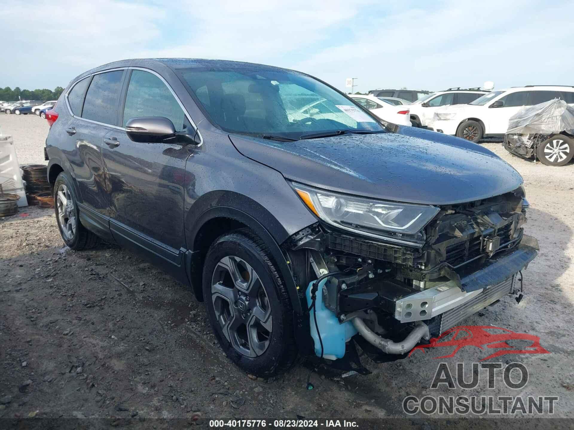 HONDA CR-V 2019 - 2HKRW1H55KH516162