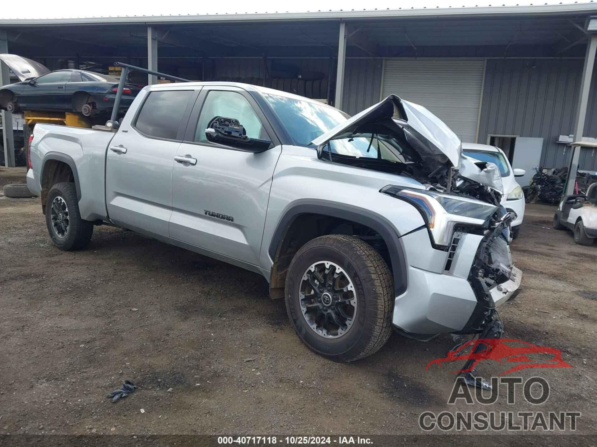 TOYOTA TUNDRA 2024 - 5TFLA5EC2RX029613