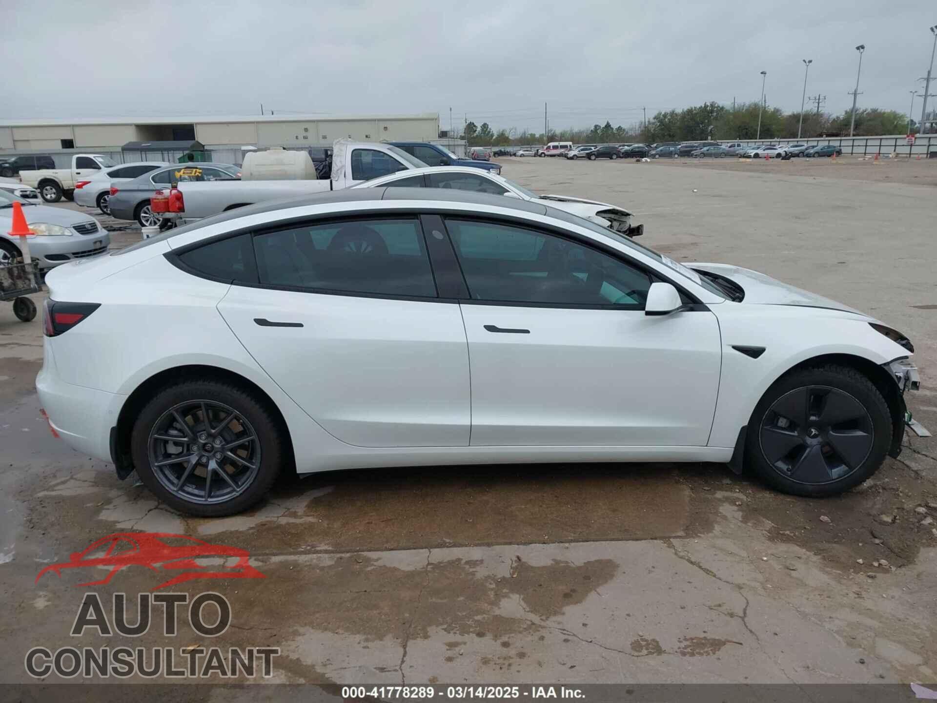 TESLA MODEL 3 2021 - 5YJ3E1EB3MF059713
