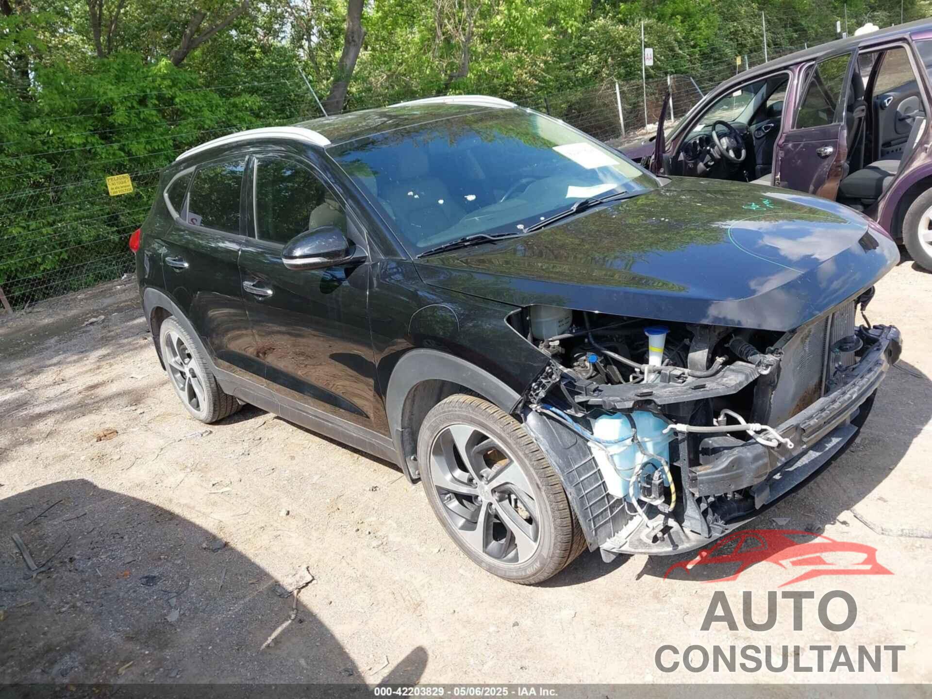 HYUNDAI TUCSON 2016 - KM8J33A25GU219046