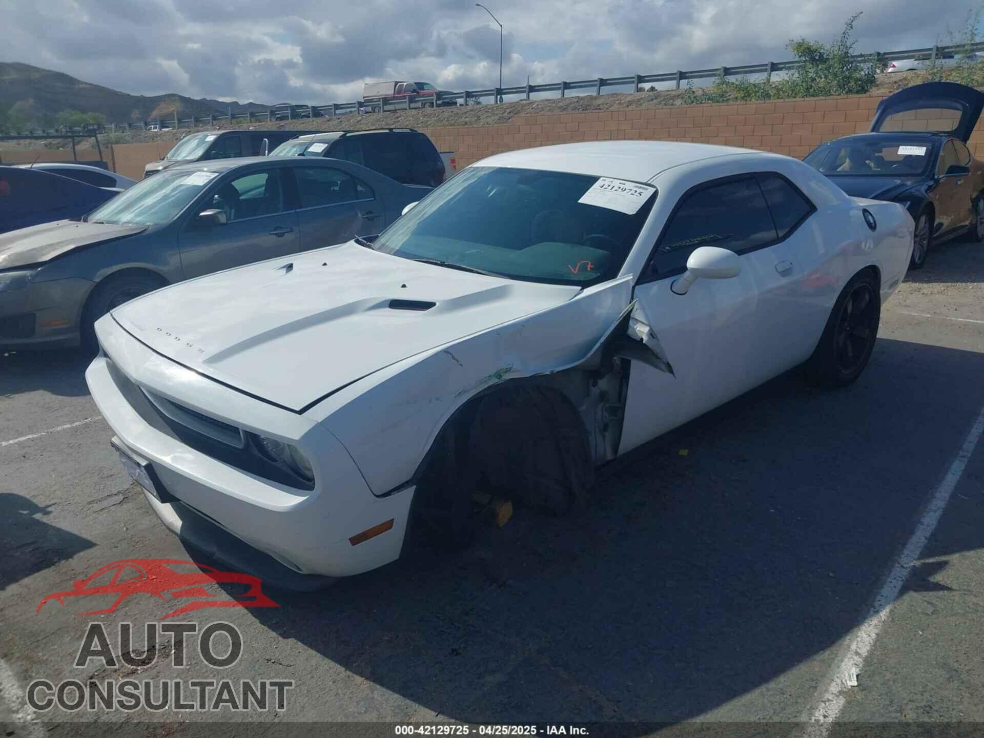 DODGE CHALLENGER 2013 - 2C3CDYAG3DH524258