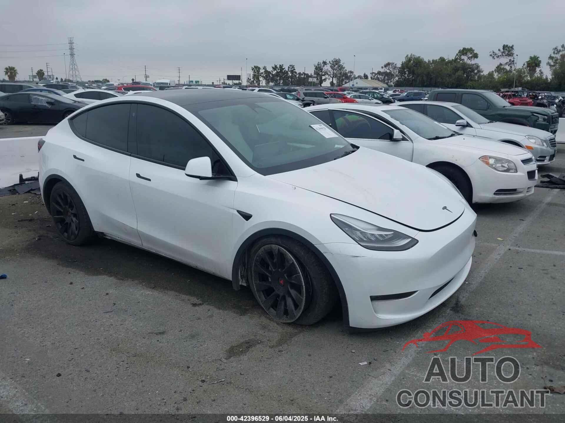 TESLA MODEL Y 2023 - 7SAYGDEE3PA055497