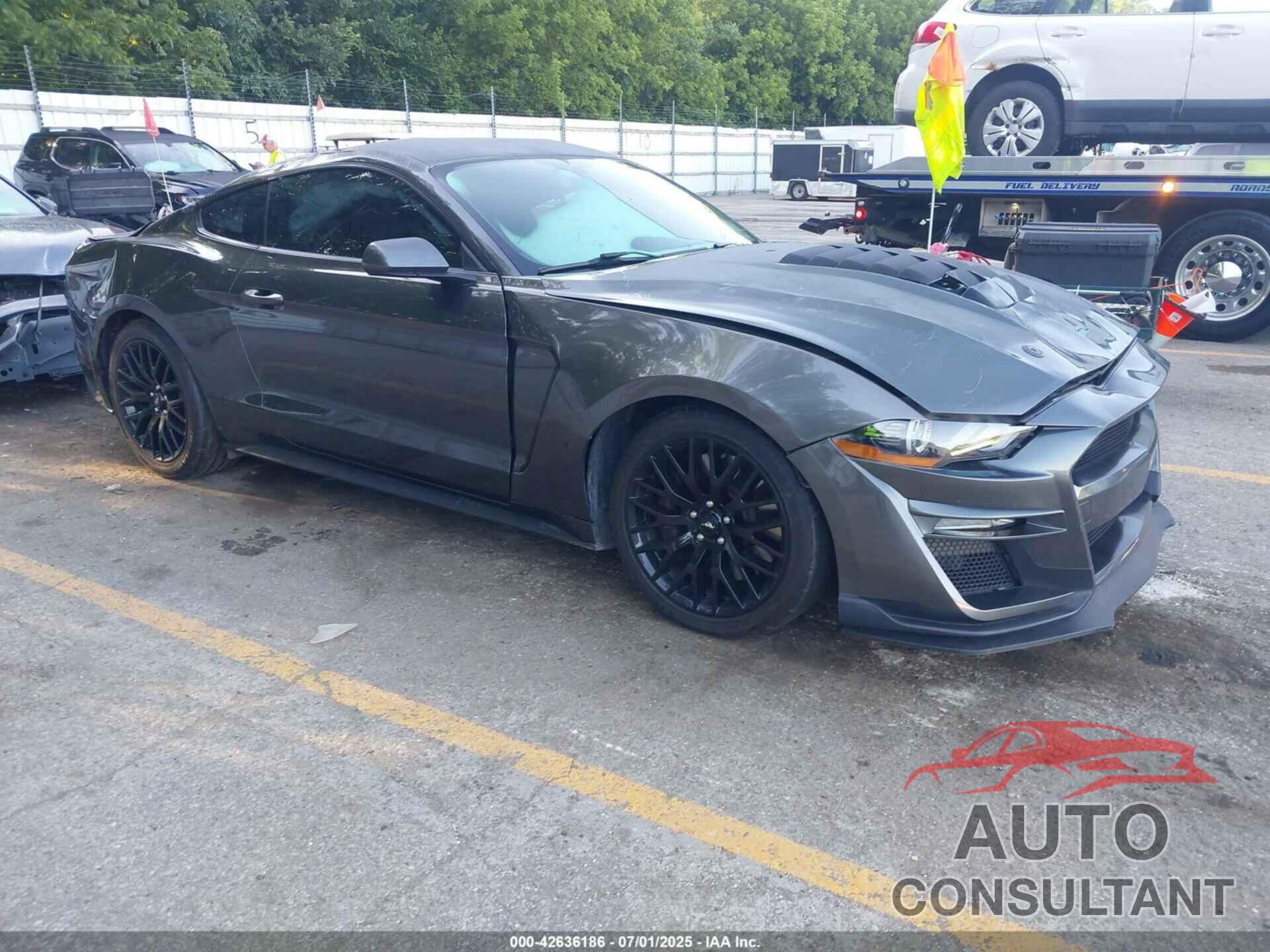 FORD MUSTANG 2019 - 1FA6P8CF9K5154710