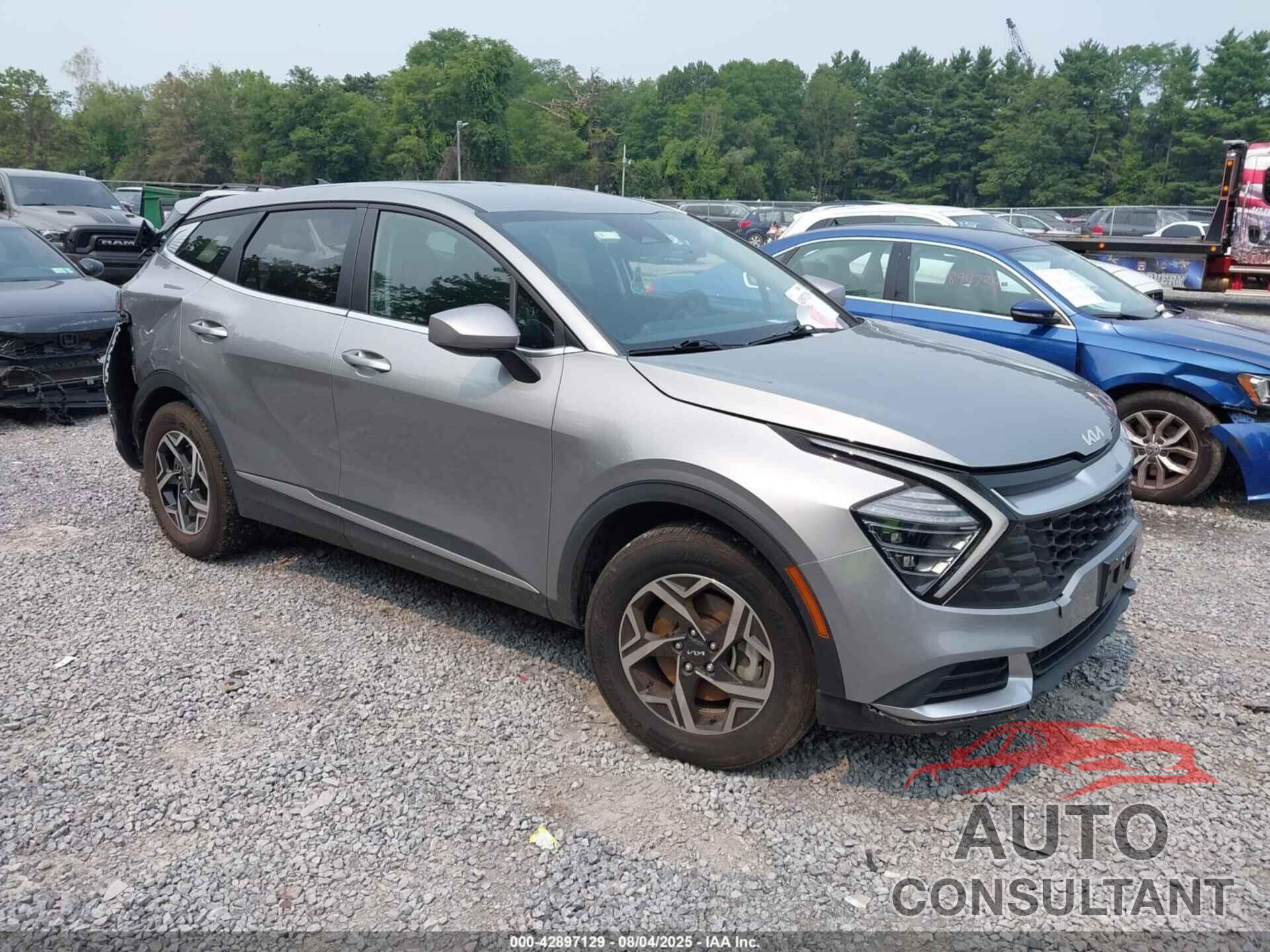 KIA SPORTAGE 2024 - KNDPUCDF6R7262502