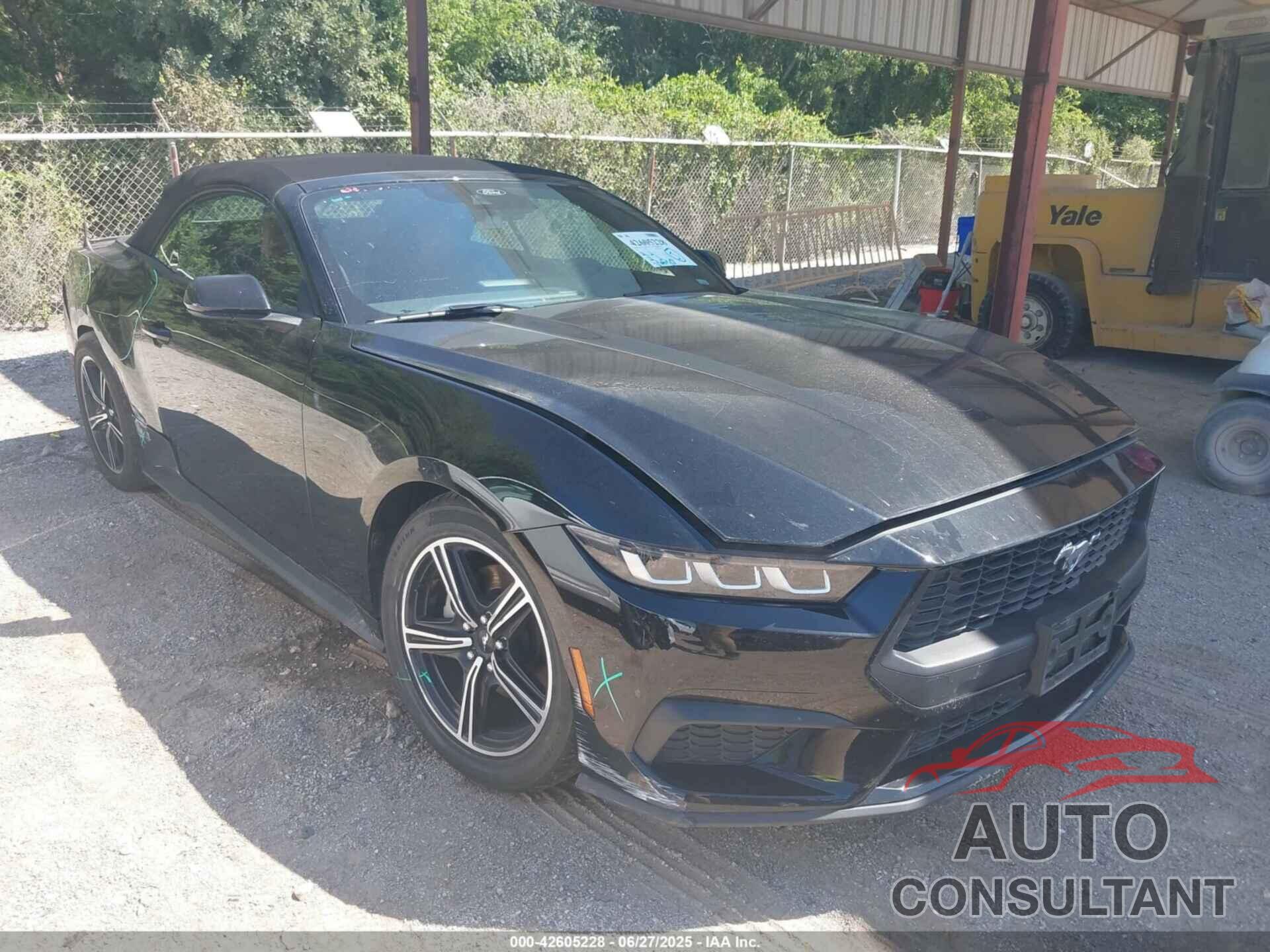 FORD MUSTANG 2024 - 1FAGP8UH7R5133398