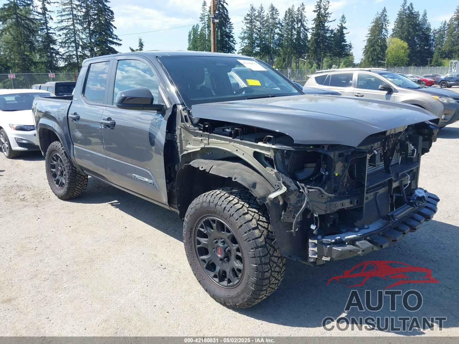 TOYOTA TACOMA 2024 - 3TMLB5JN8RM035295