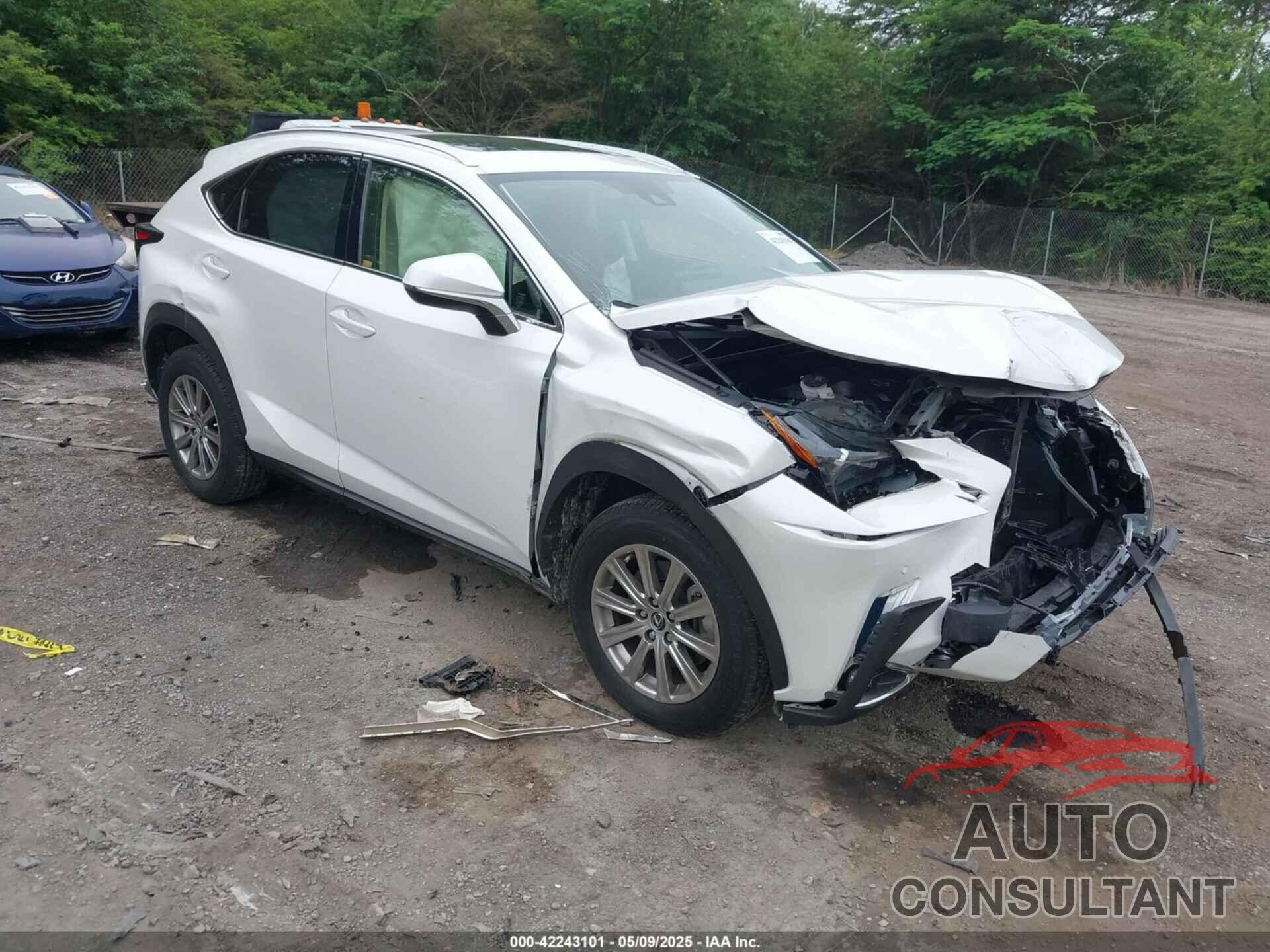 LEXUS NX 300 2021 - JTJDARBZ6M5035226