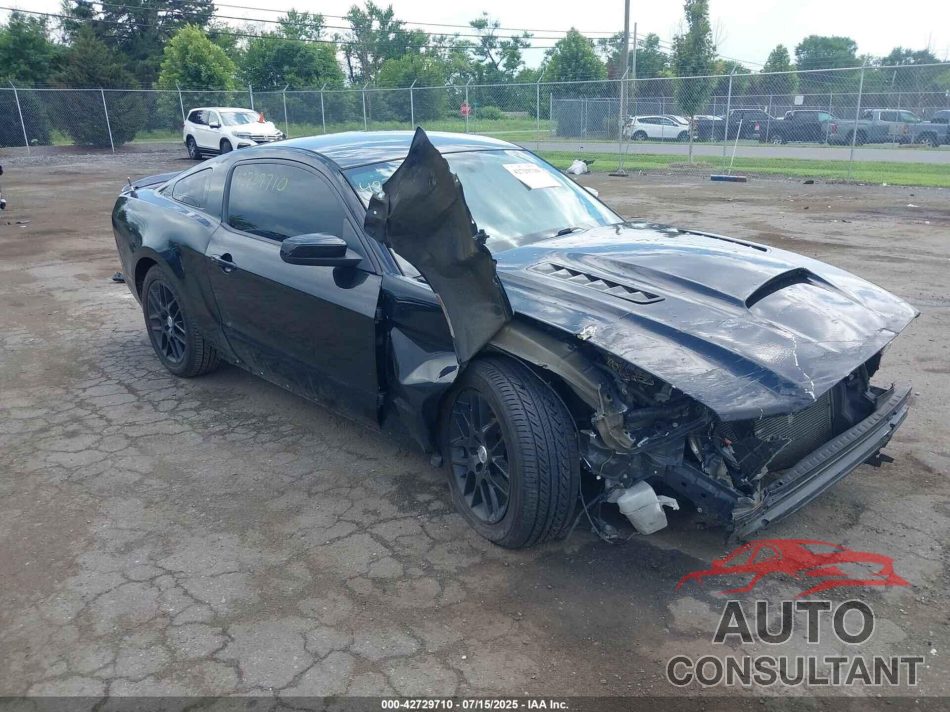 FORD MUSTANG 2014 - 1ZVBP8AM9E5207899