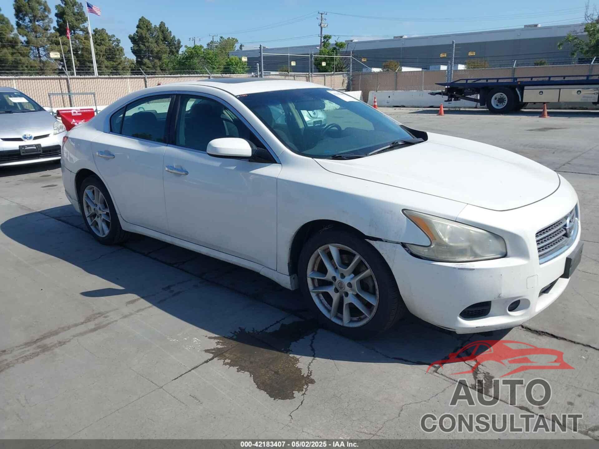 NISSAN MAXIMA 2010 - 1N4AA5AP6AC801984