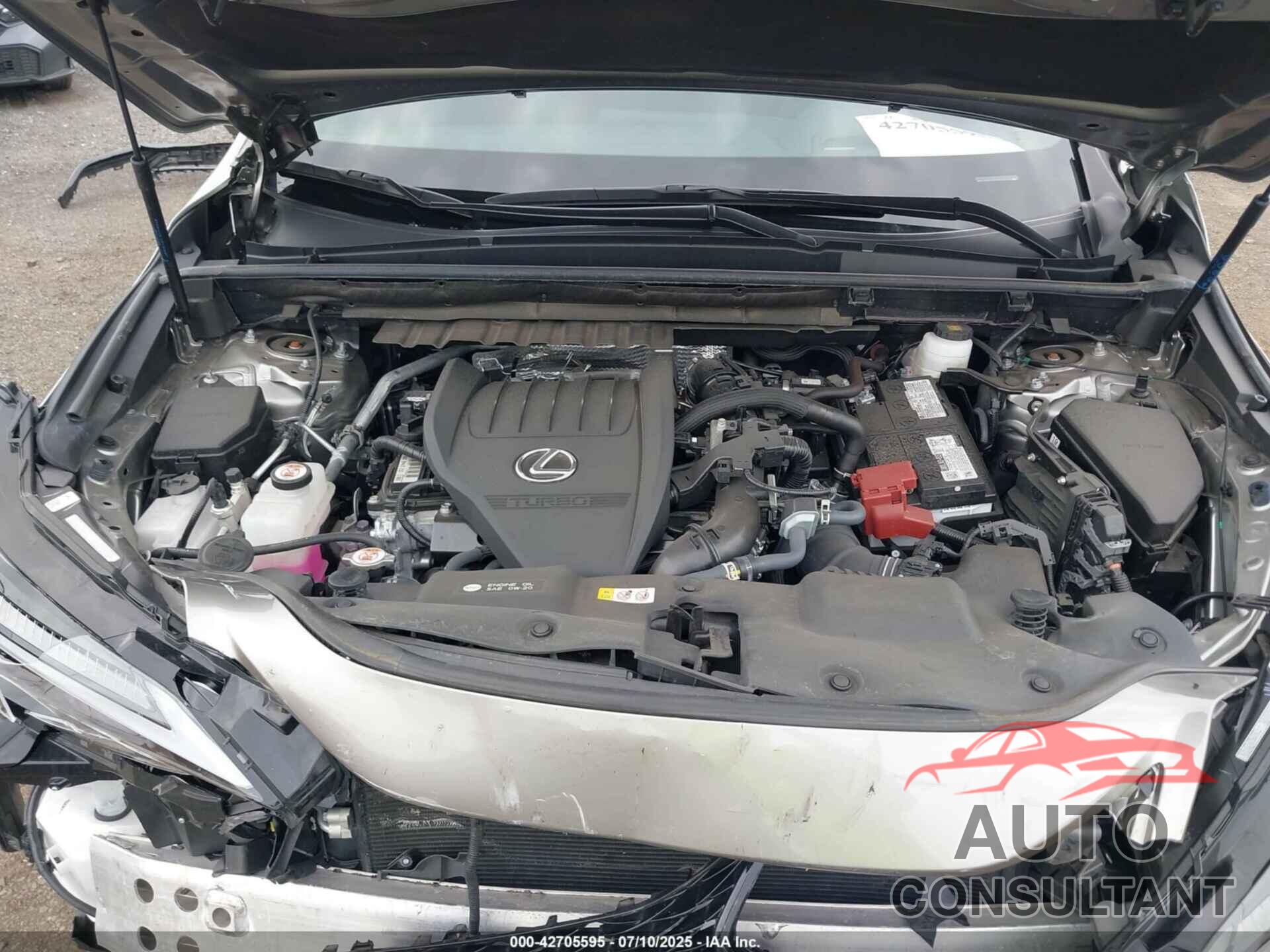 LEXUS NX 350 2024 - 2T2KGCEZ1RC059750