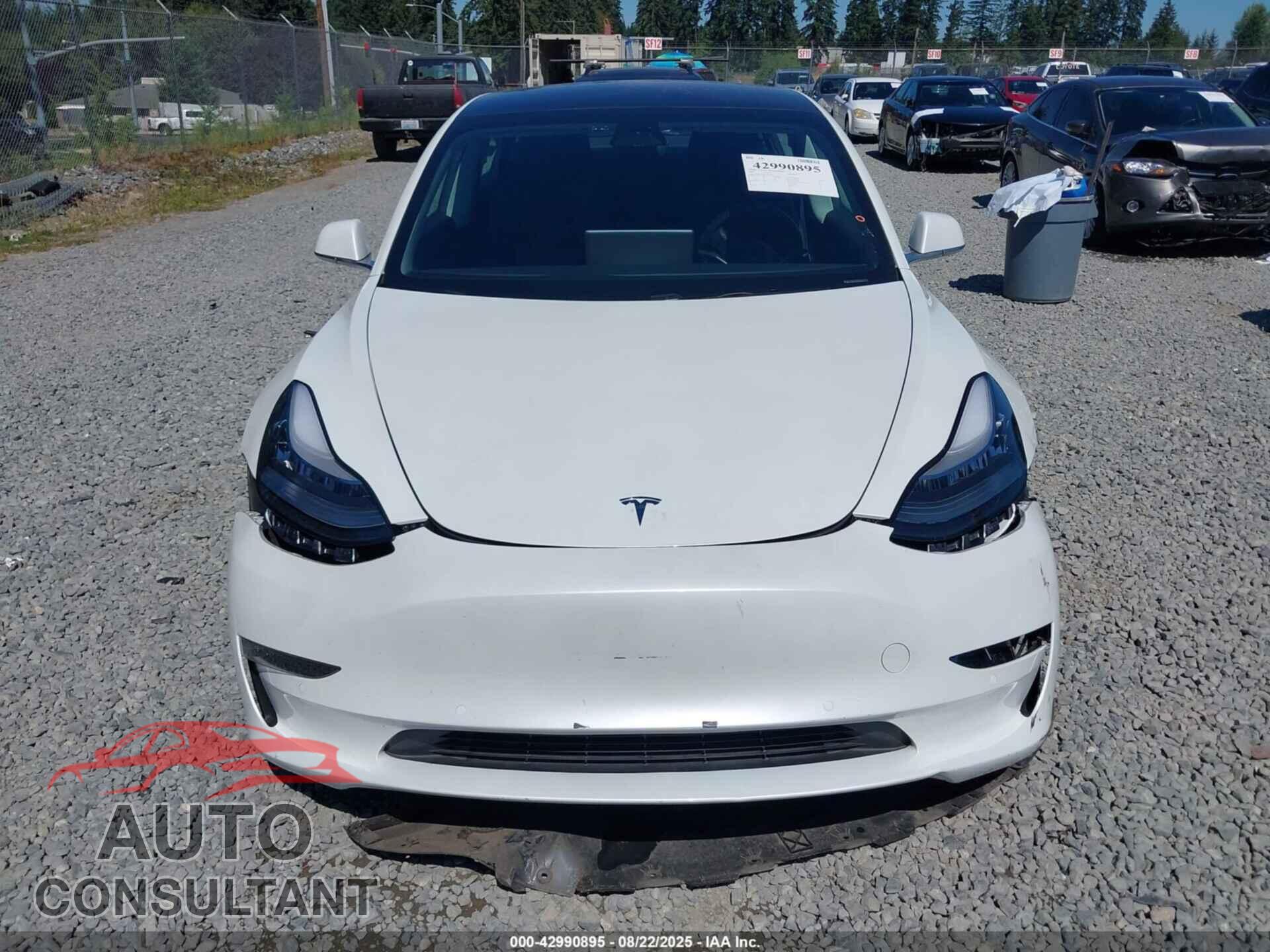 TESLA MODEL 3 2019 - 5YJ3E1EA0KF310031