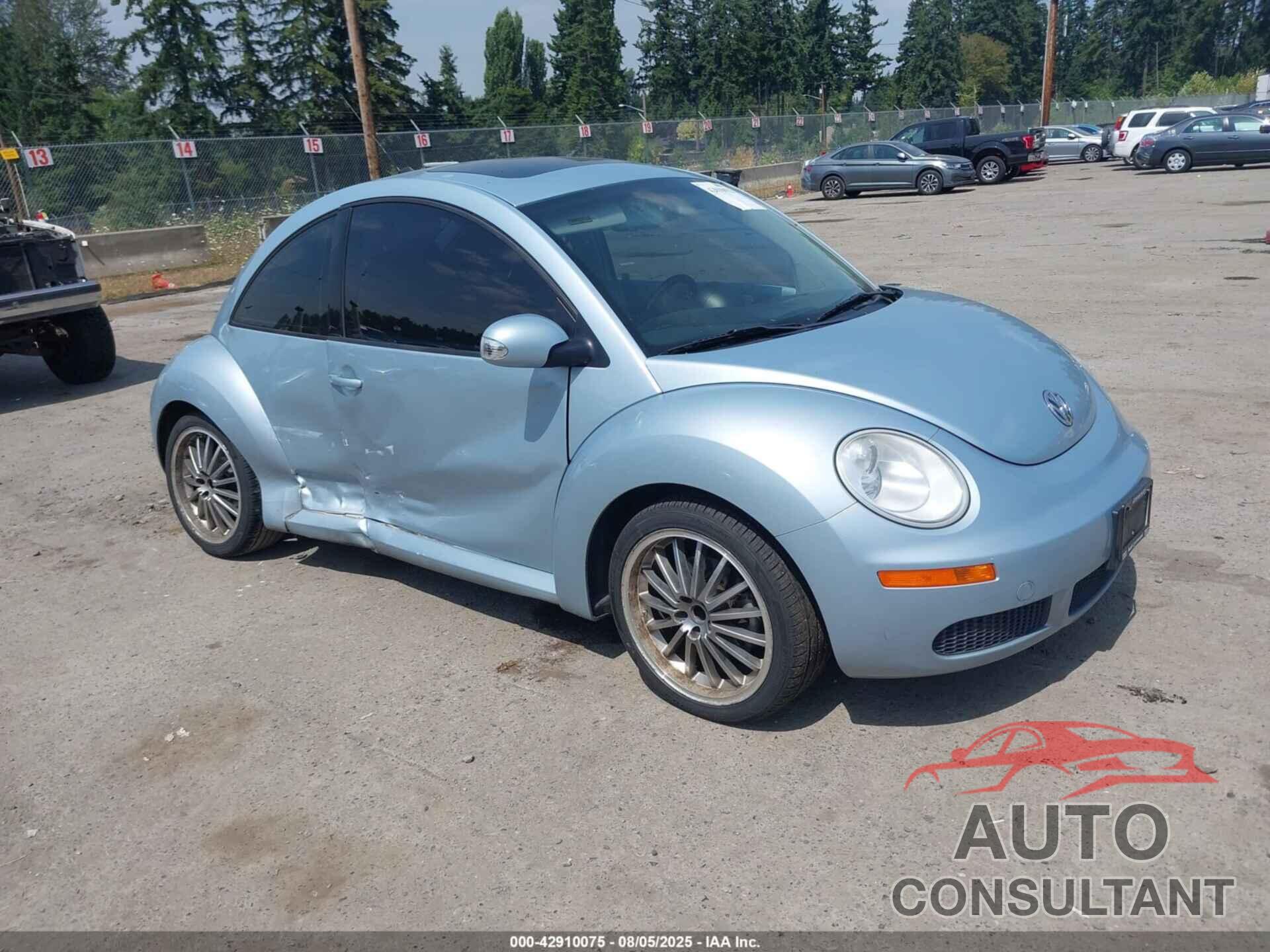 VOLKSWAGEN NEW BEETLE 2009 - 3VWRG31C19M513505