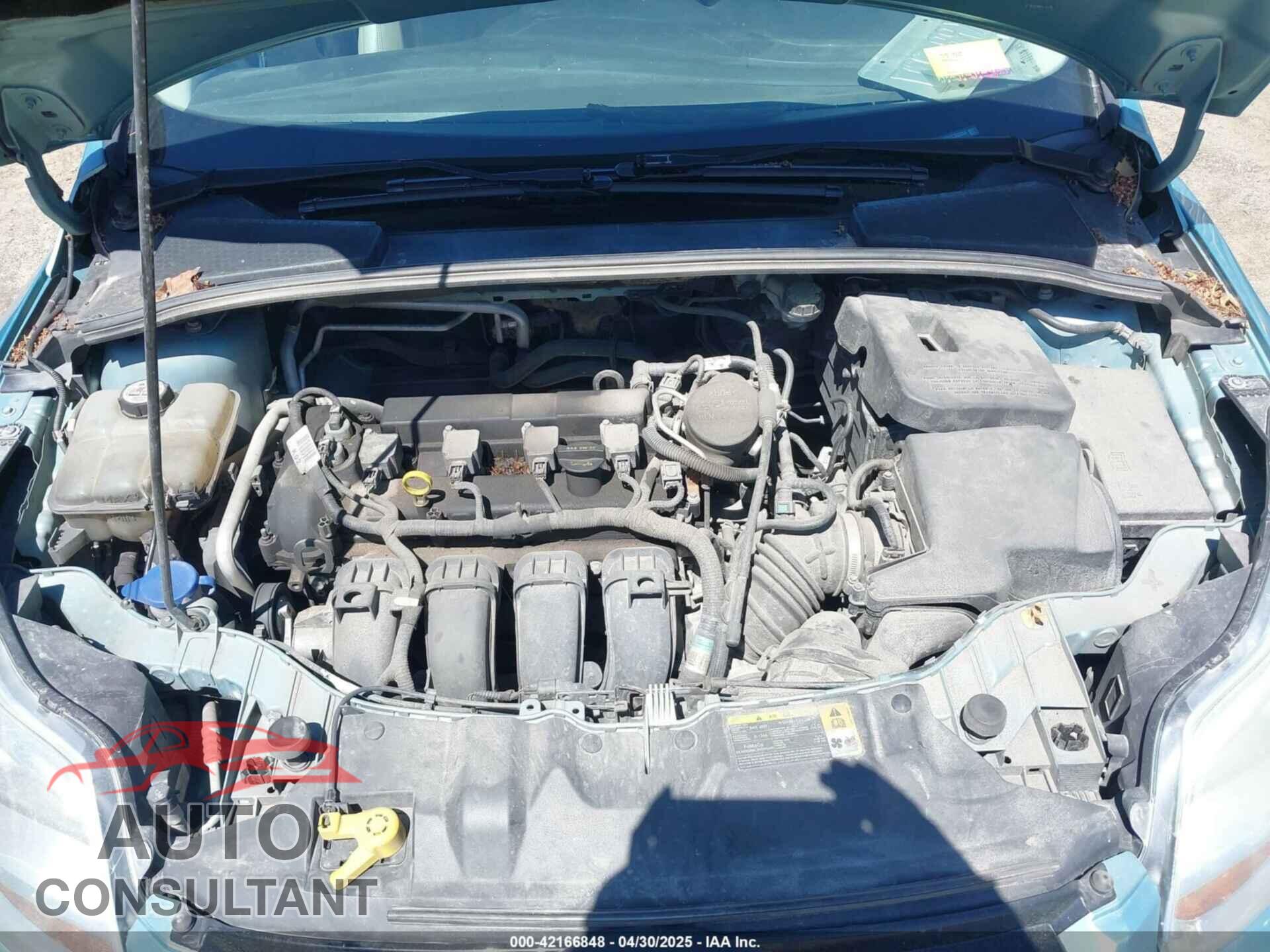 FORD FOCUS 2012 - 1FAHP3M2XCL302254