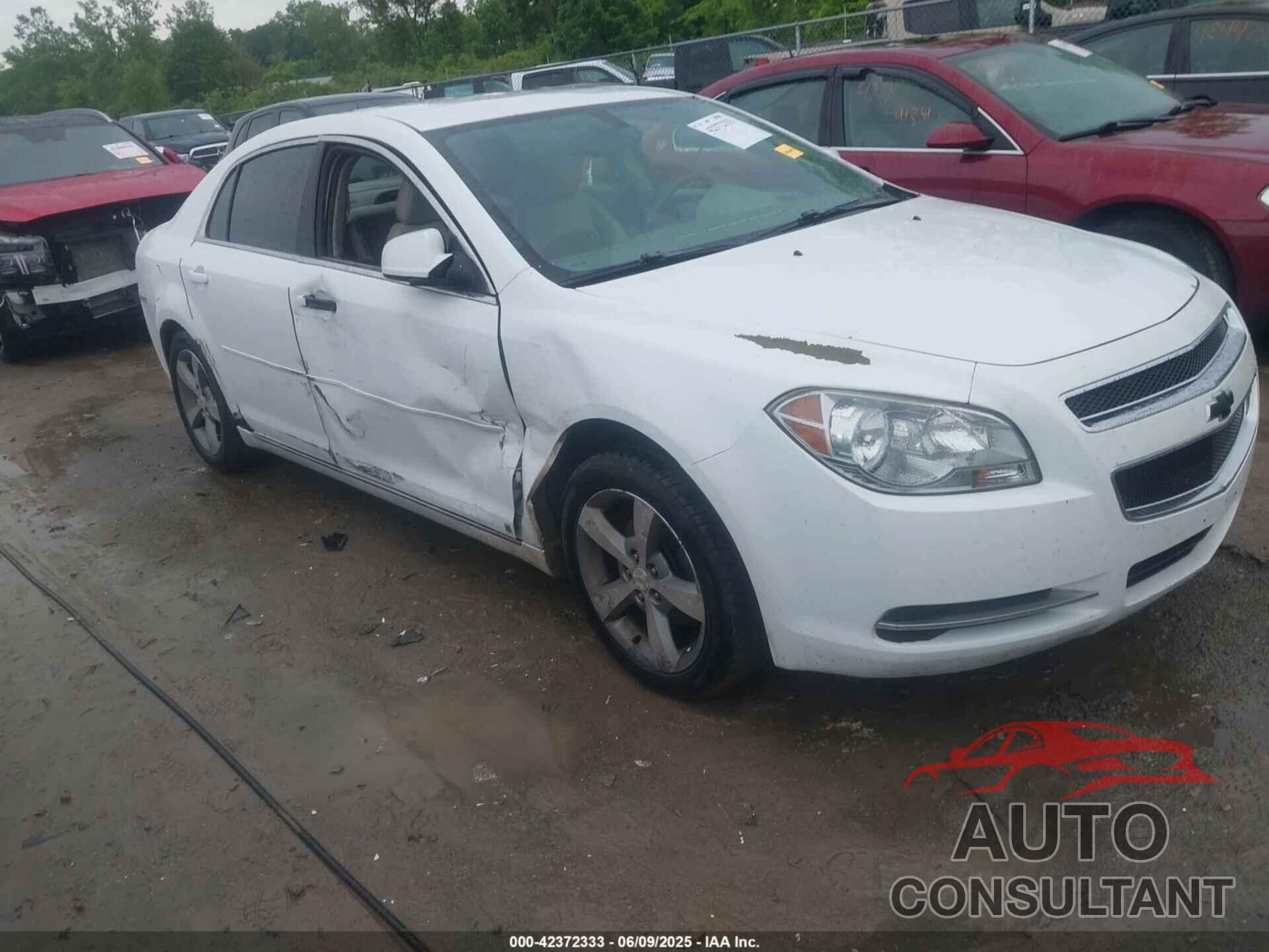 CHEVROLET MALIBU 2009 - 1G1ZJ57B79F212972