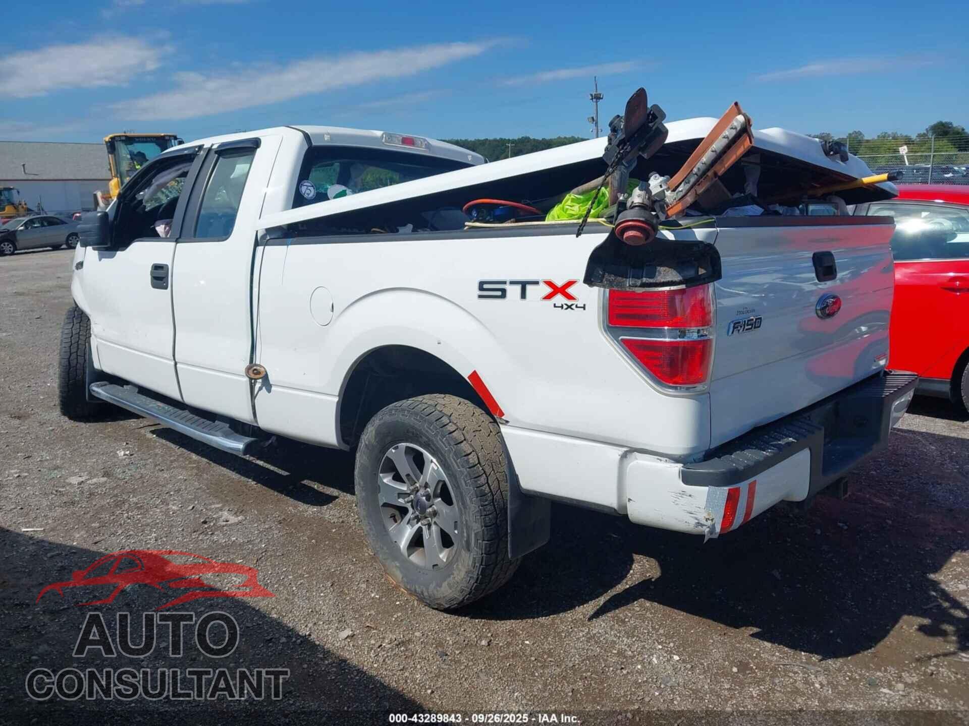 FORD F-150 2013 - 1FTFX1EF3DFD61461