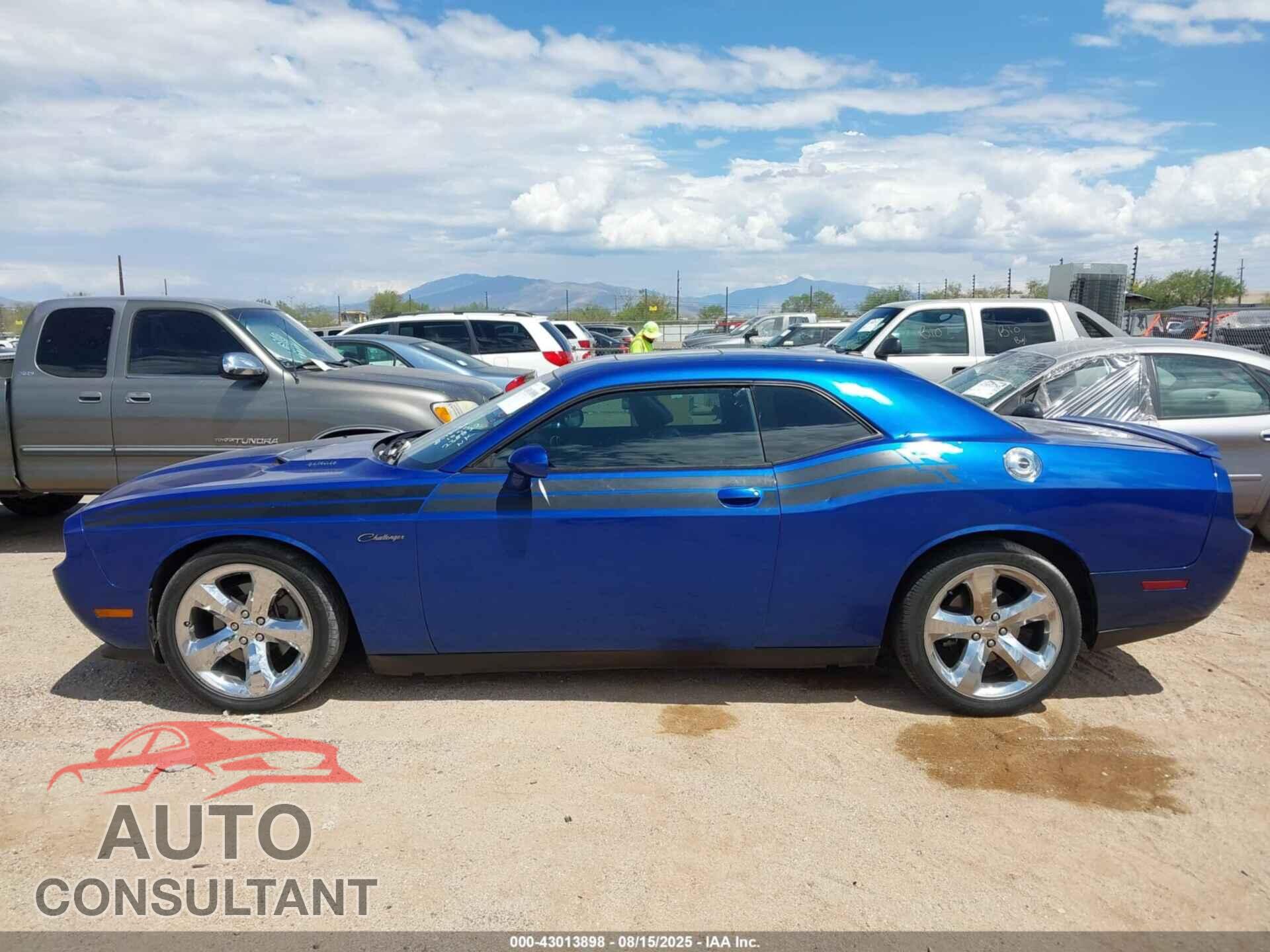 DODGE CHALLENGER 2012 - 2C3CDYBT8CH238822