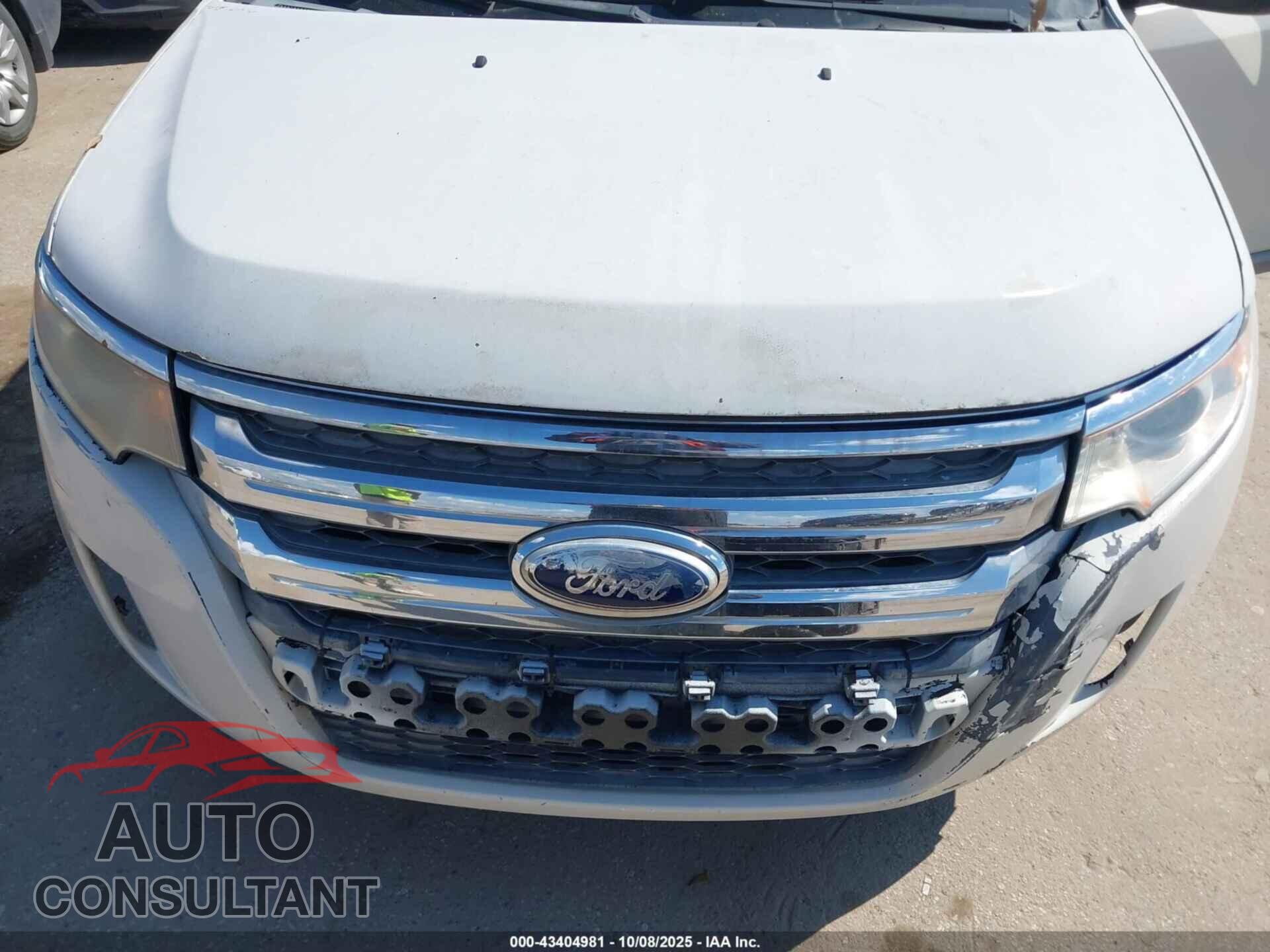 FORD EDGE 2011 - 2FMDK3JC6BBB51251
