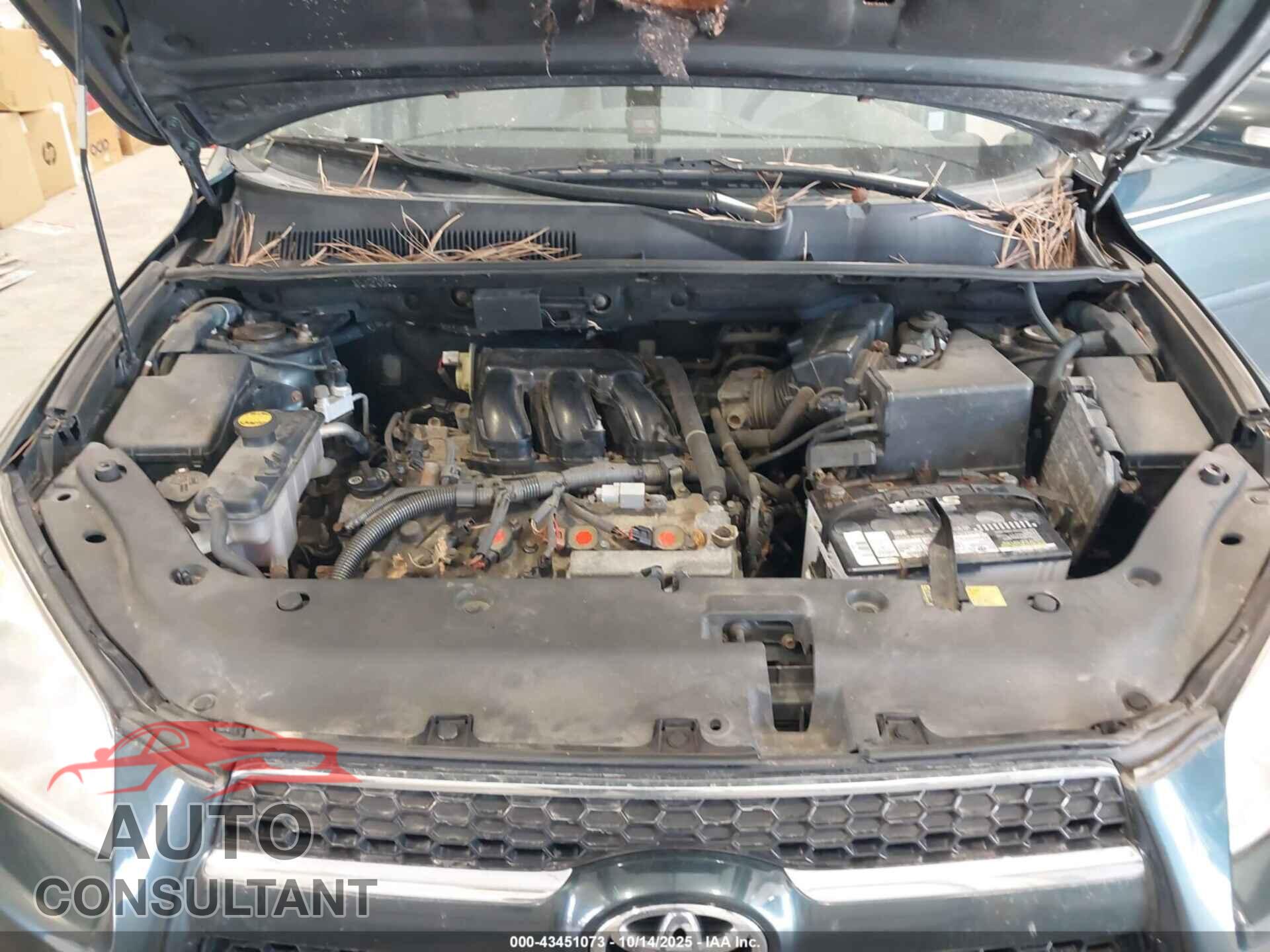 TOYOTA RAV4 2009 - JTMBK31V69D003473