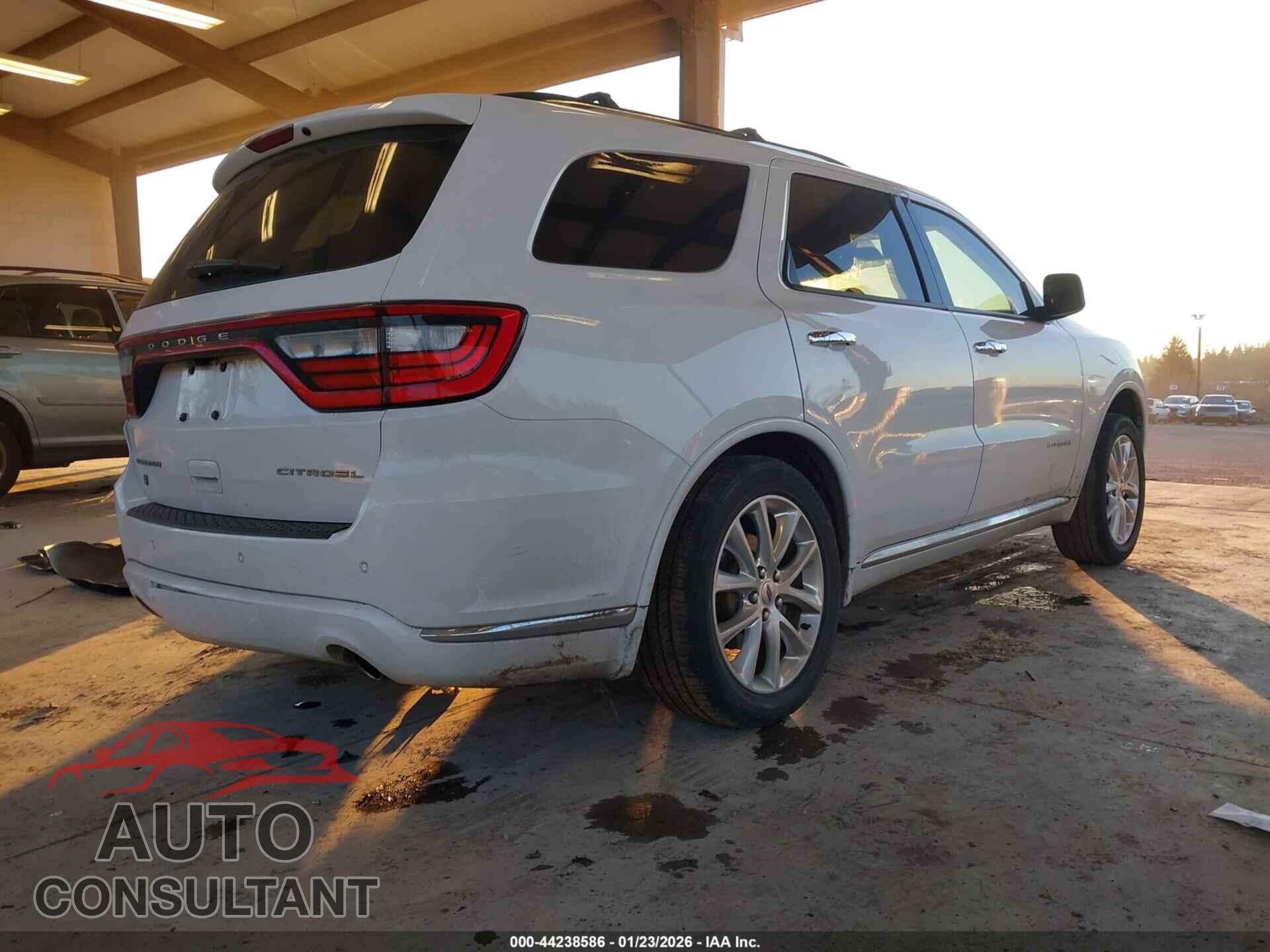 DODGE DURANGO 2019 - 1C4RDJEG2KC738259