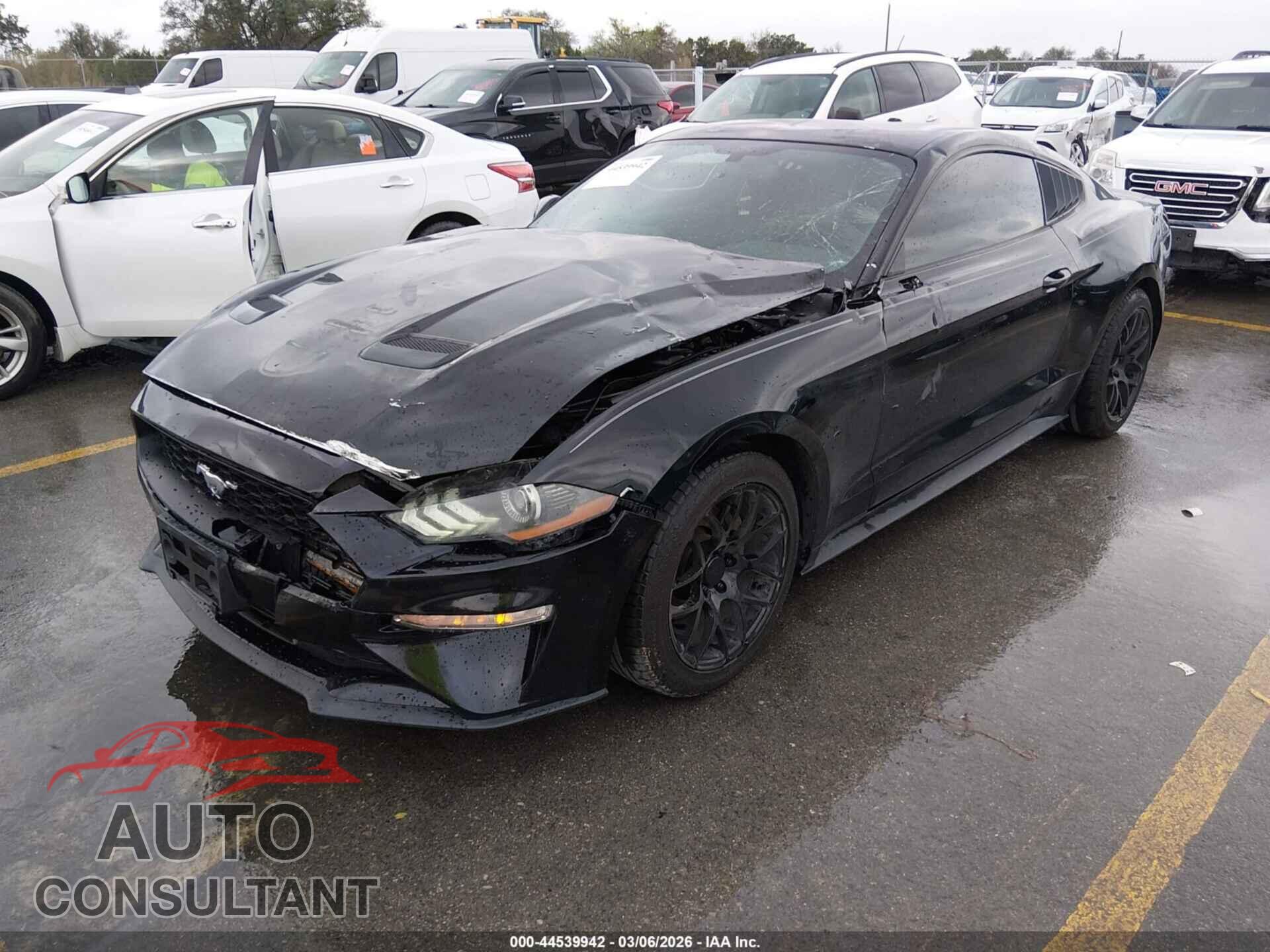 FORD MUSTANG 2019 - 1FA6P8TH1K5168702