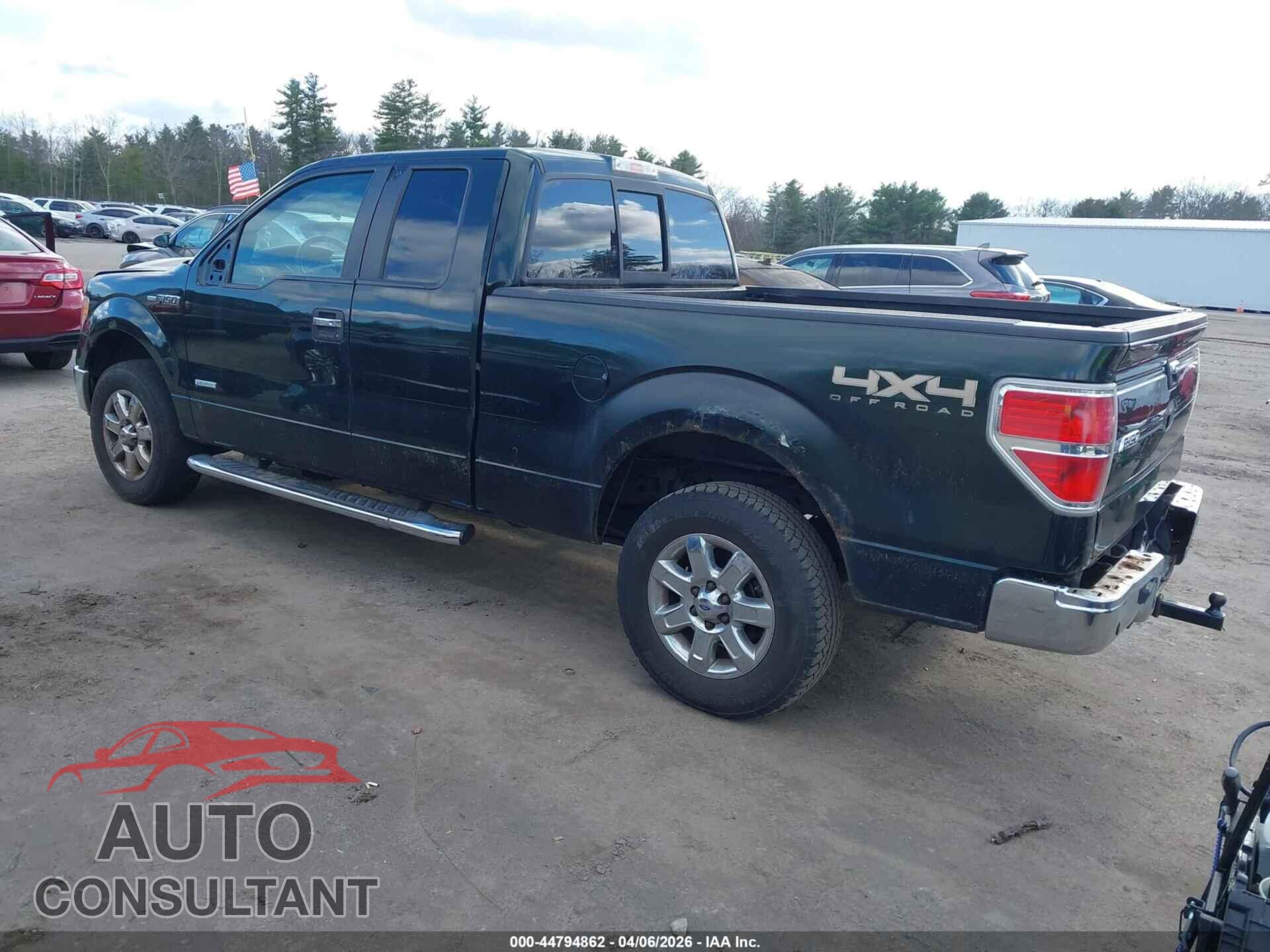 FORD F-150 2013 - 1FTFX1ET8DFD21415