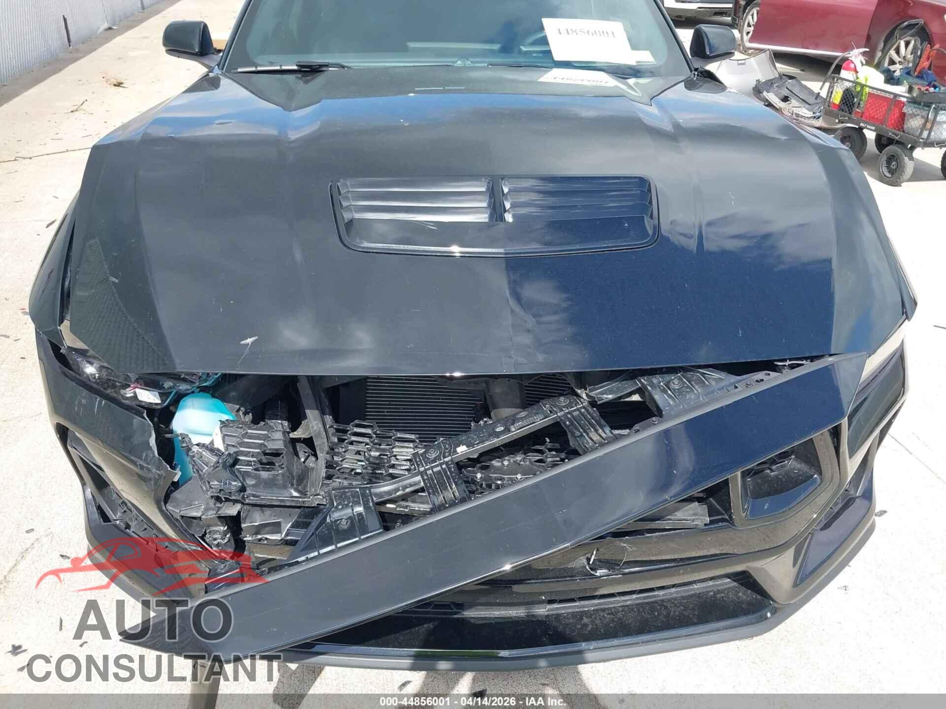 FORD MUSTANG 2025 - 1FA6P8CF8S5407404