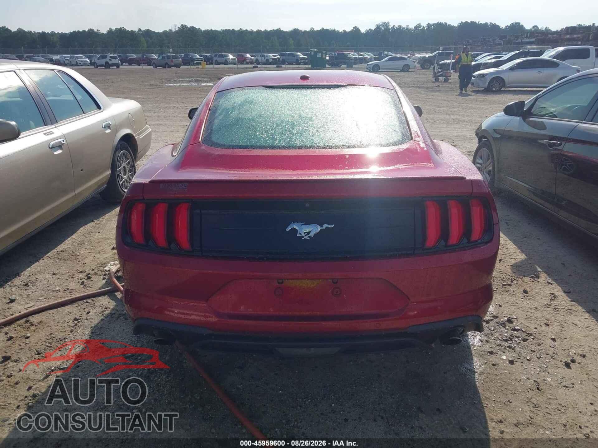 FORD MUSTANG 2019 - 1FA6P8TH2K5116477