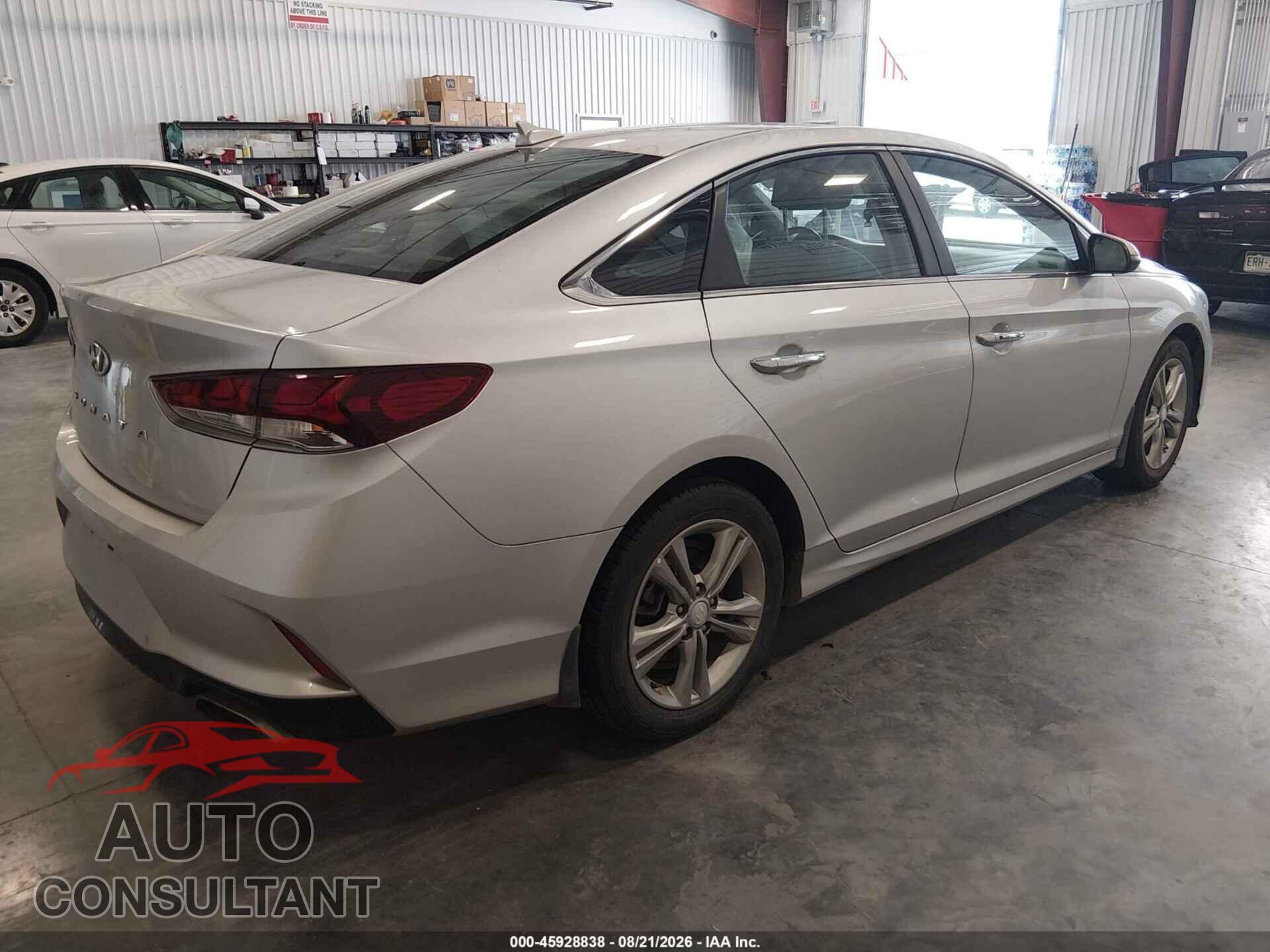 HYUNDAI SONATA 2019 - 5NPE34AF7KH743414