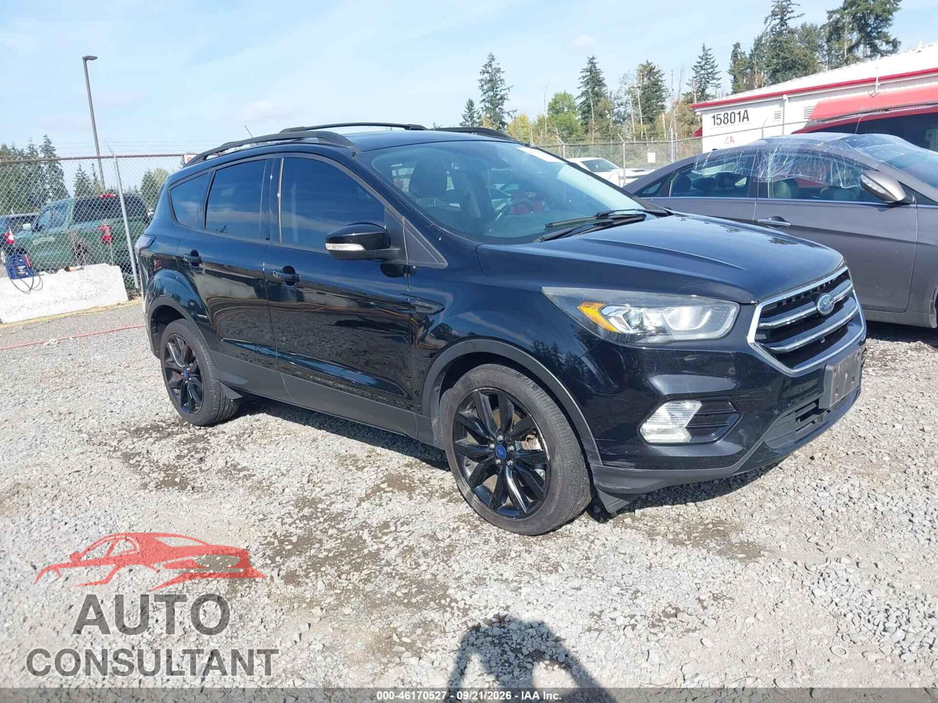FORD ESCAPE 2017 - 1FMCU9J91HUD43001