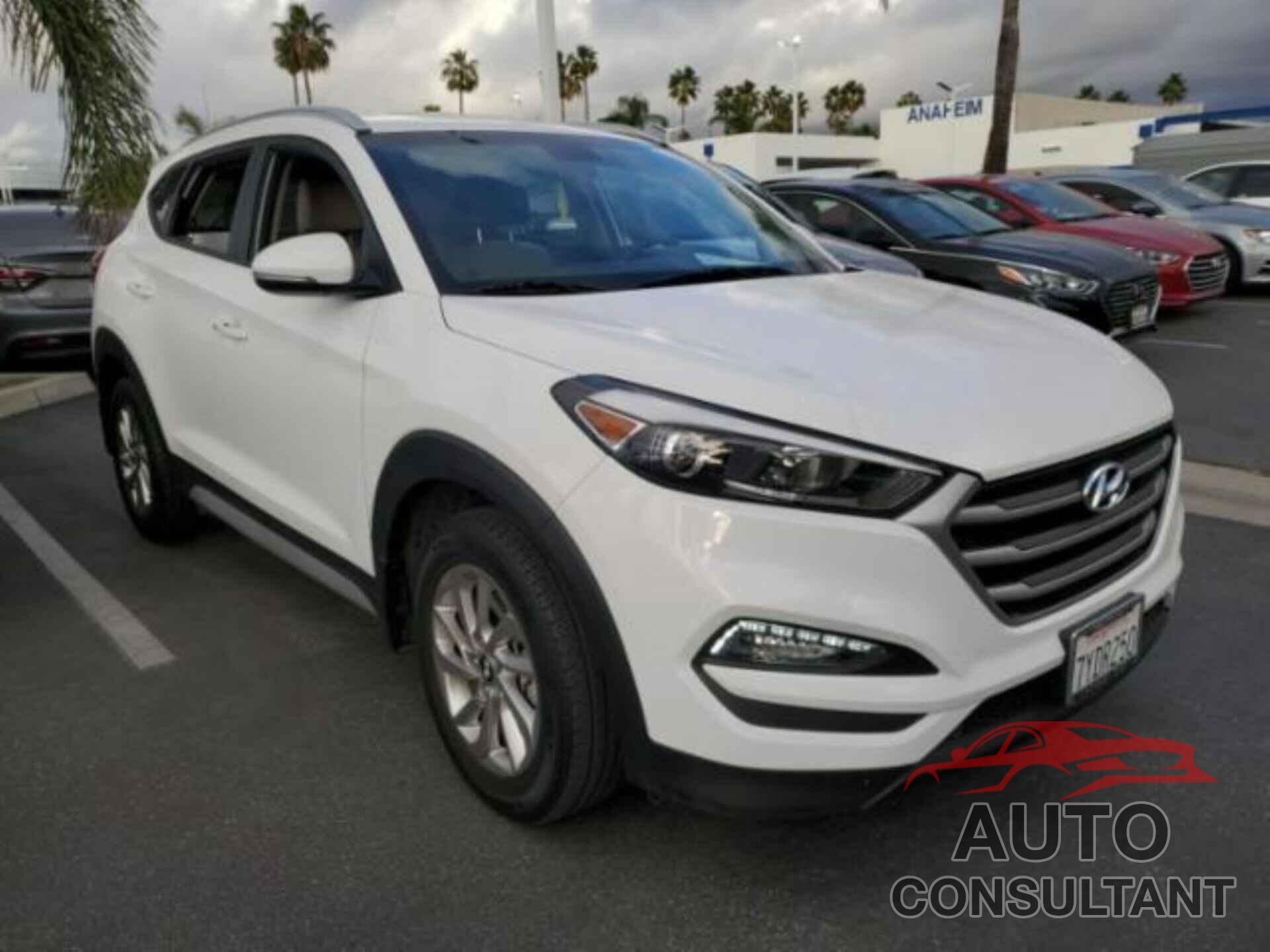 HYUNDAI TUCSON 2017 - KM8J33A47HU382610